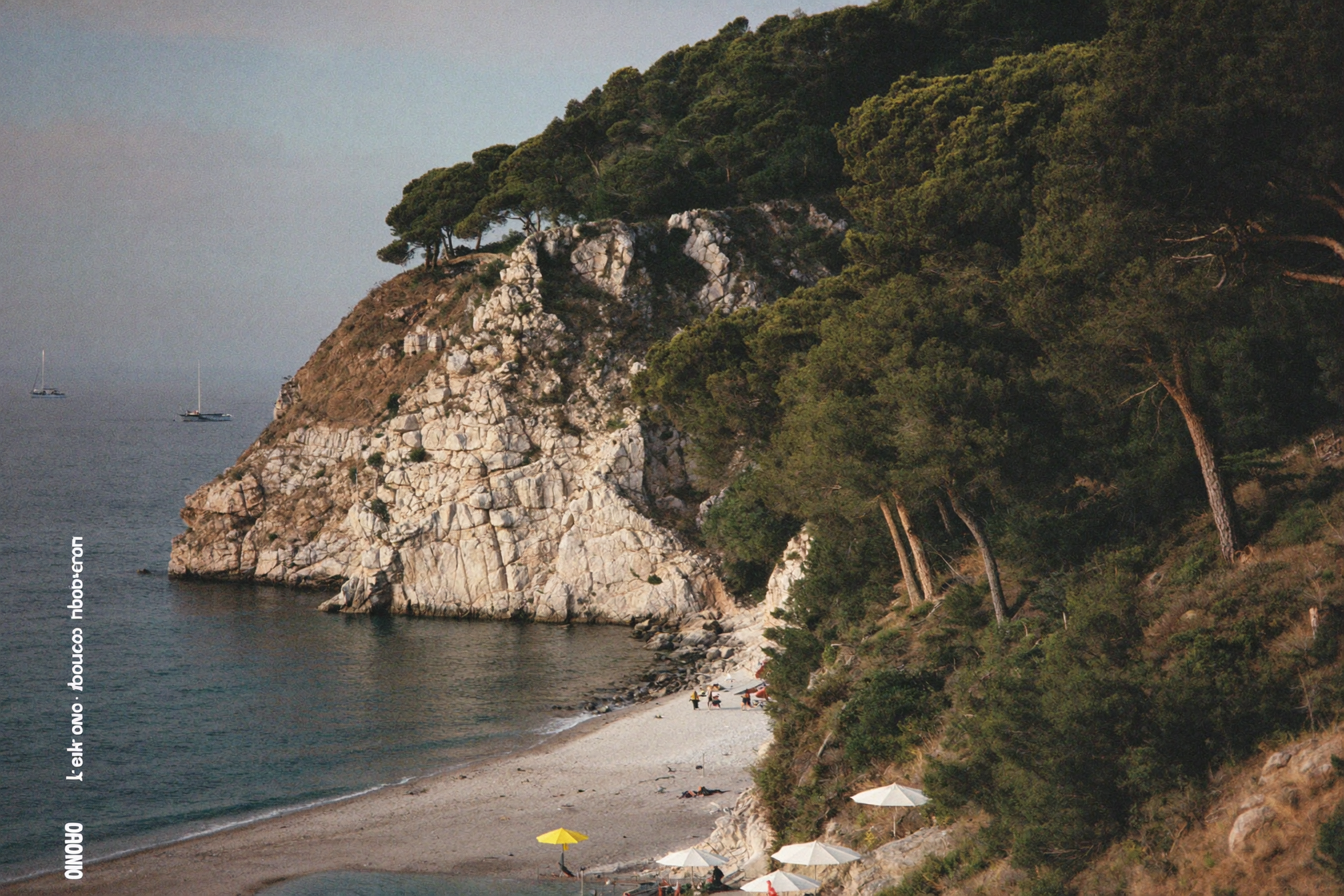 Côte française tranquille au matin — falaises calcaires, pins parasols et mer calme.
