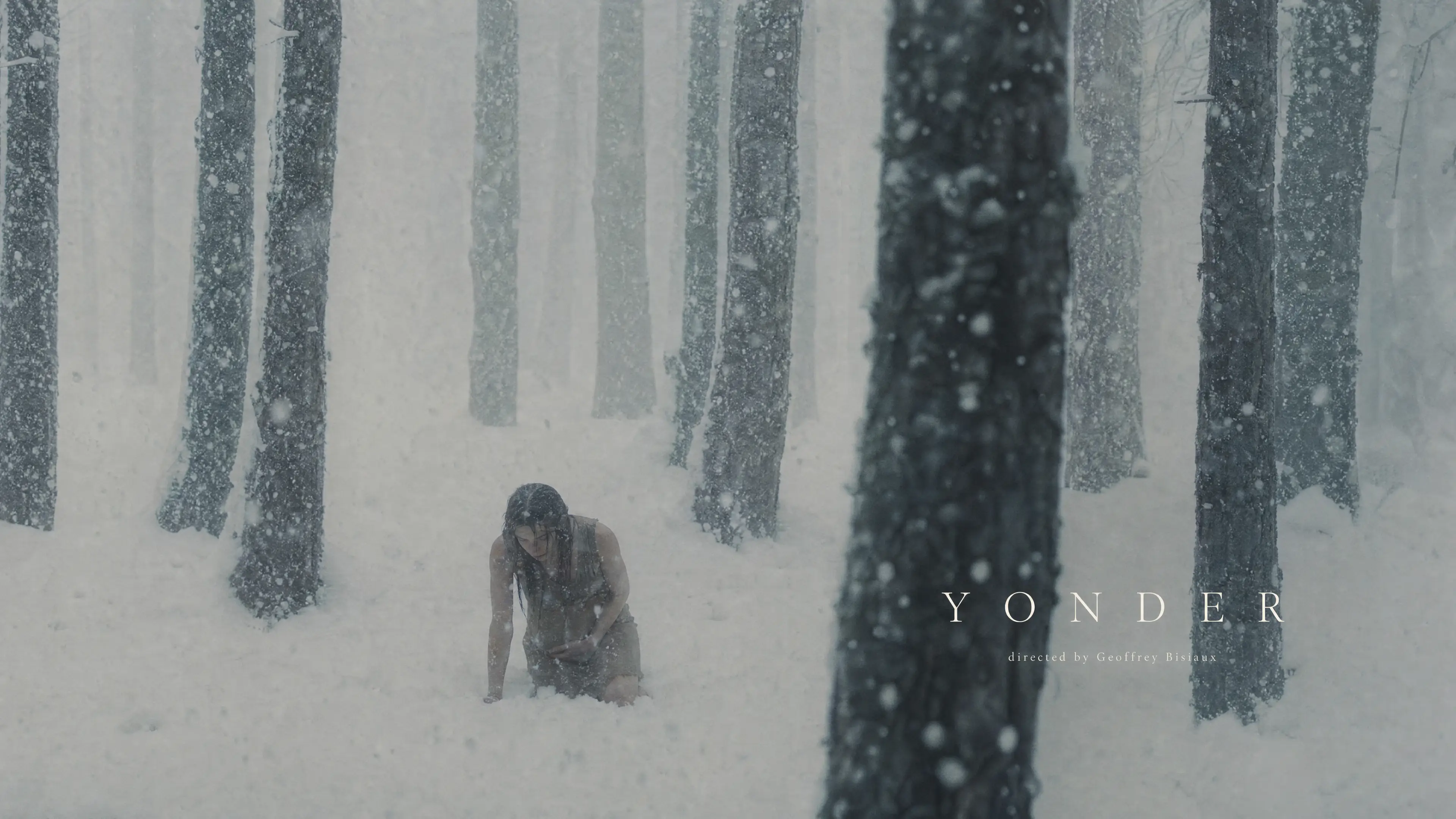 YONDER