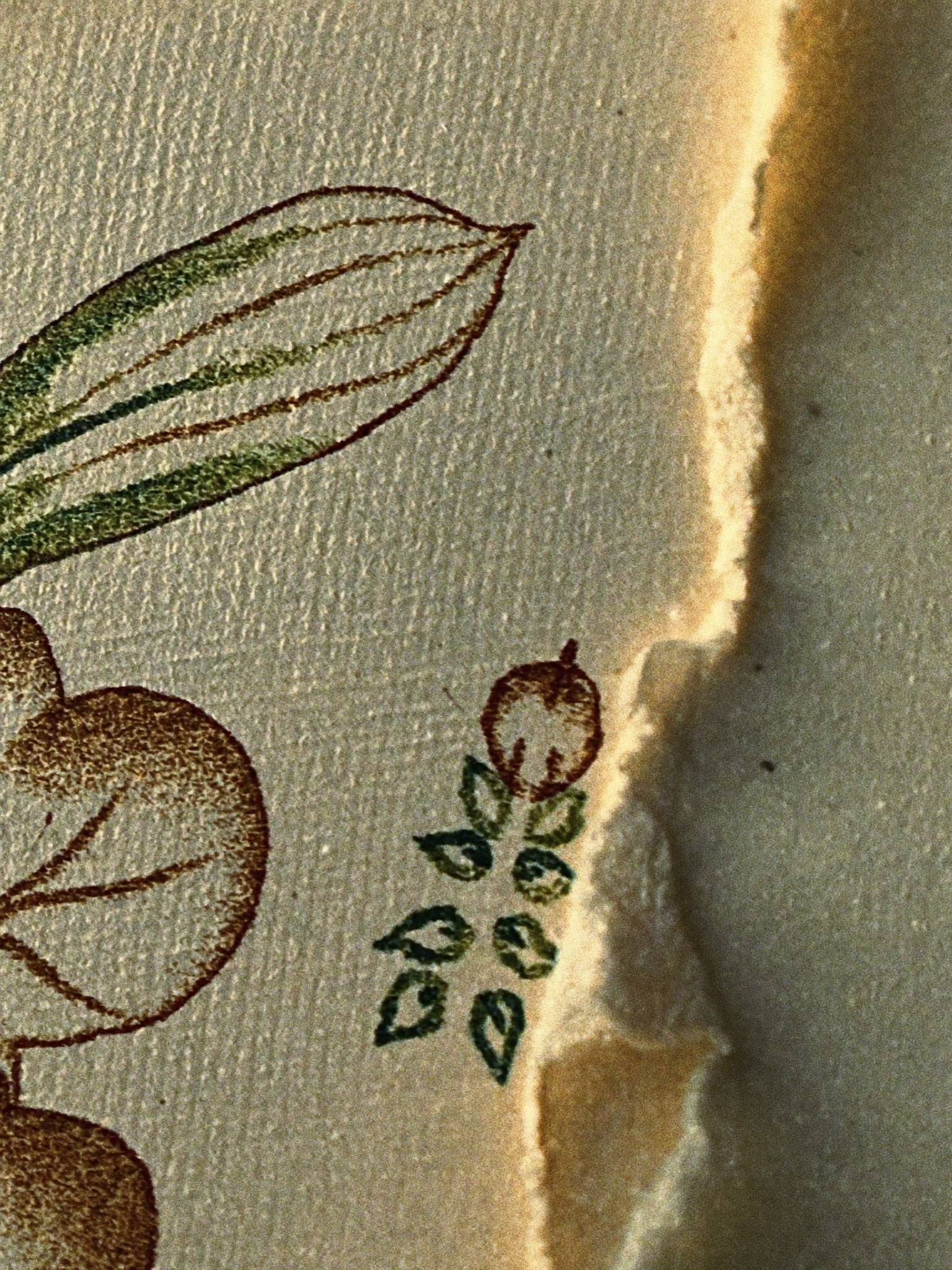 Macro of cotton rag paper with deckled edge and archival ink