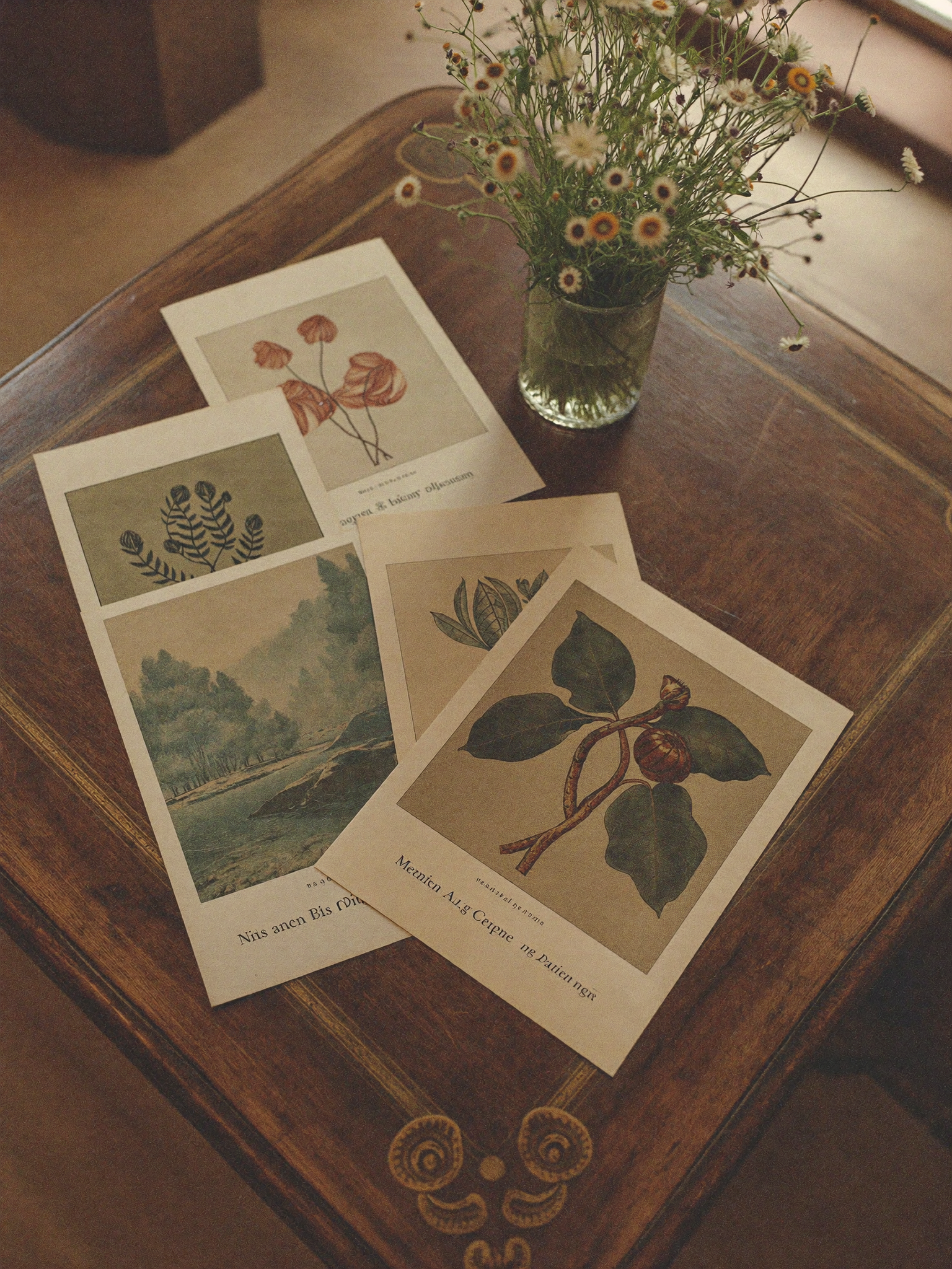 Vintage botanical prints beside dried wildflowers