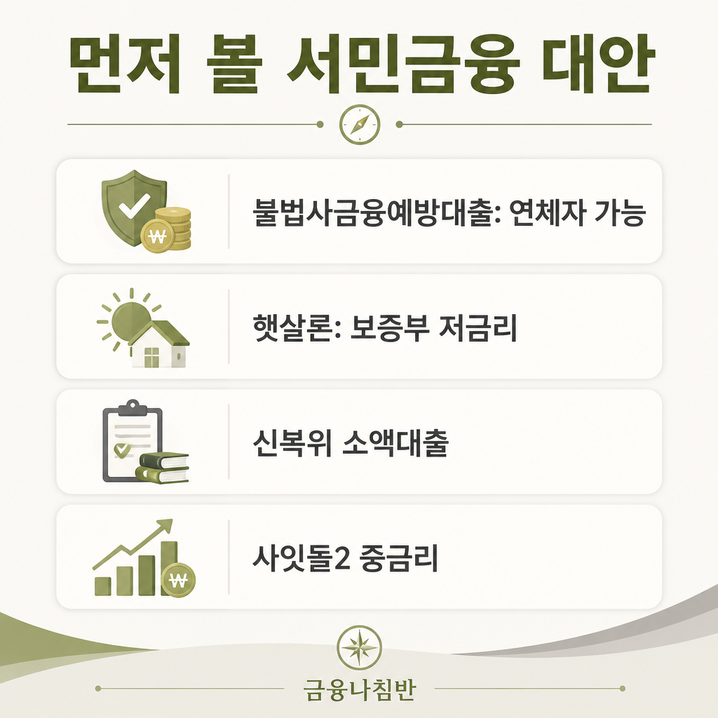 대부업 대신 서민금융 대안