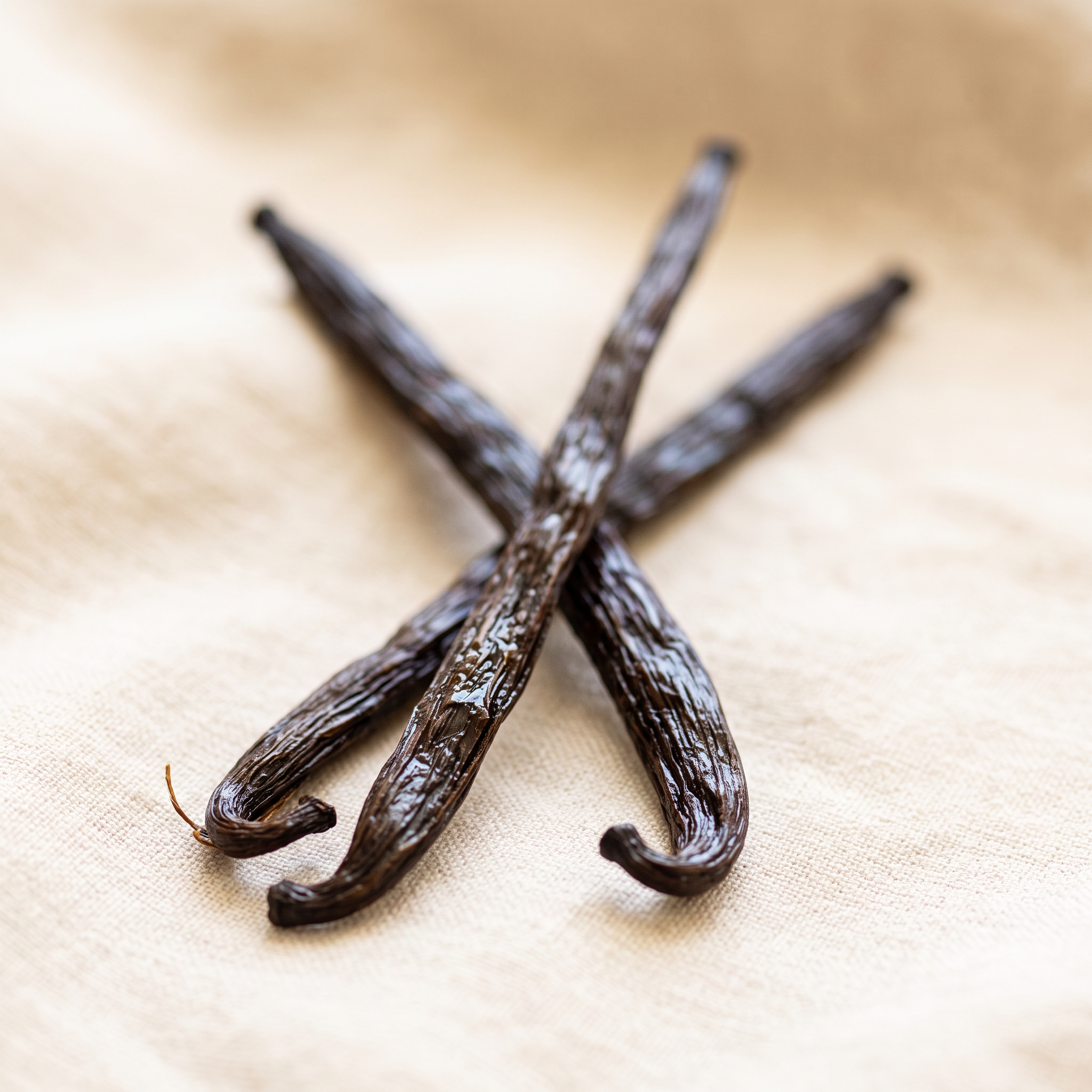 Vanilla