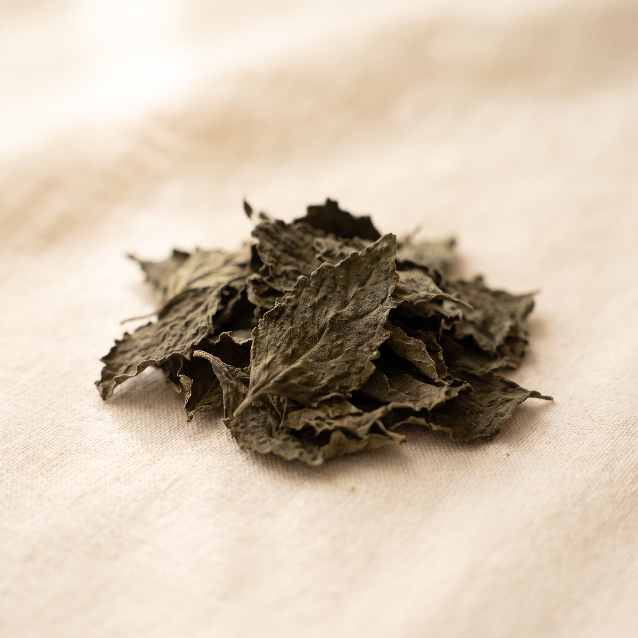 Patchouli