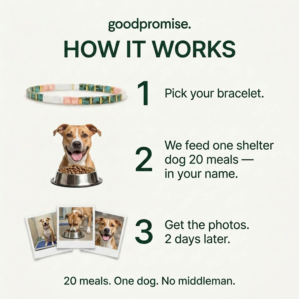 How it works: pick your bracelet, we feed one shelter dog 20 meals in your name, get the photos 2 days later