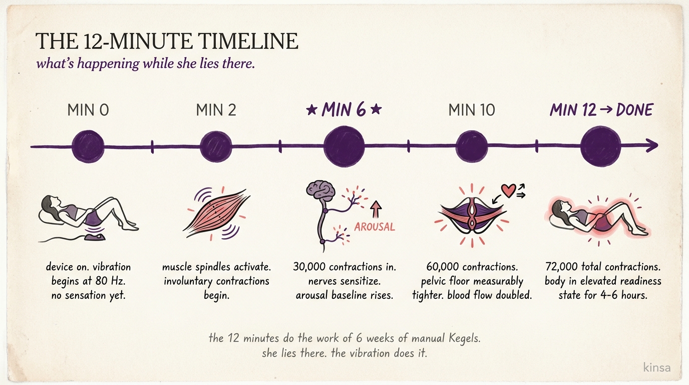 The 12-minute timeline of what's happening in the body