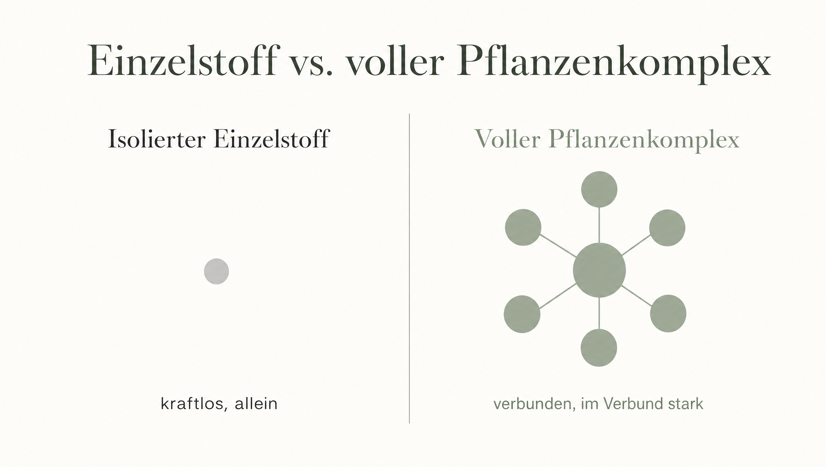 Infografik: Isolierter Einzelstoff versus voller Pflanzenkomplex