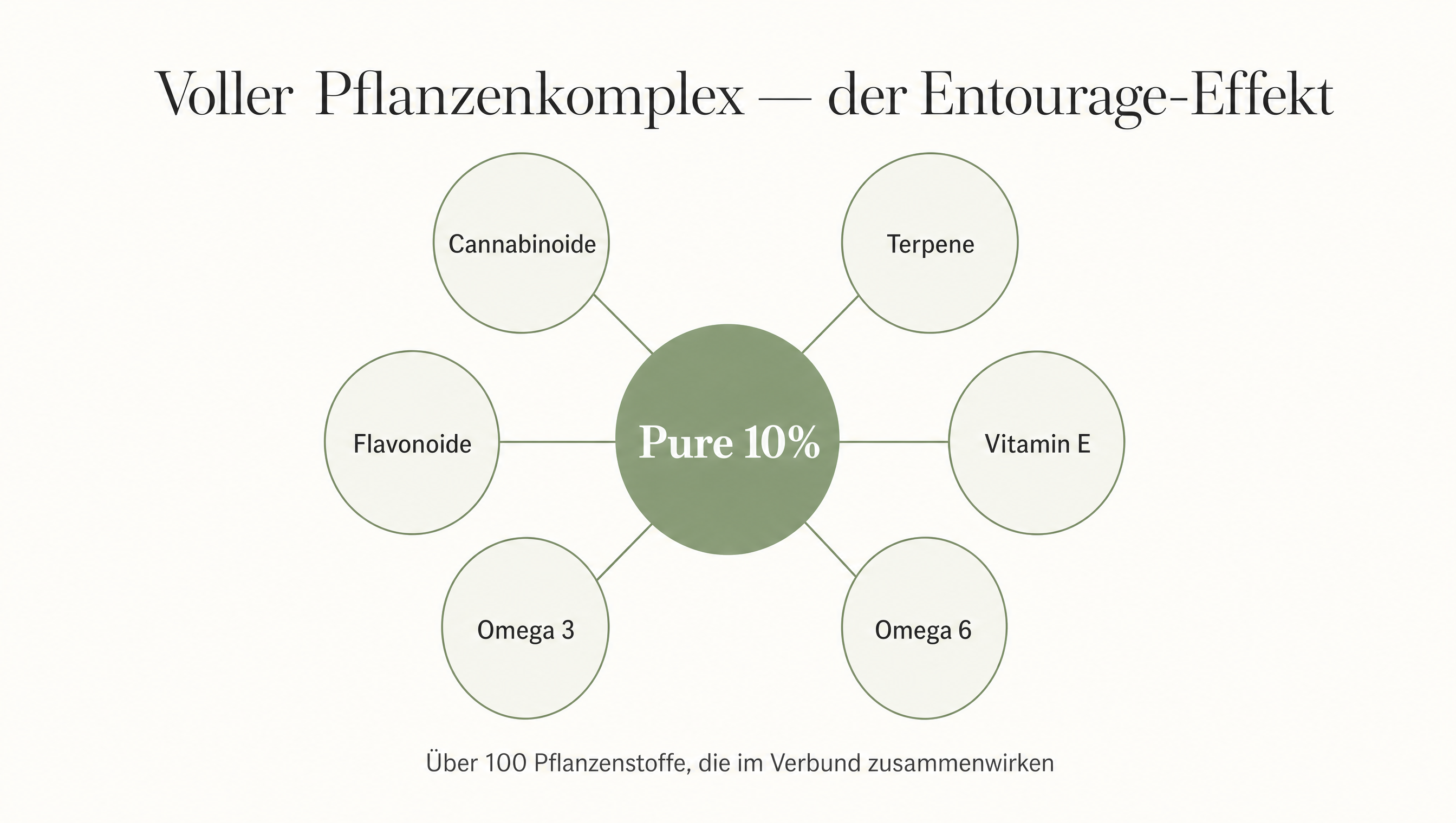 Infografik: Voller Pflanzenkomplex — der Entourage-Effekt