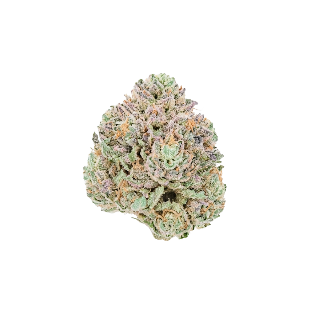 Sherbet Static &mdash; Exotics