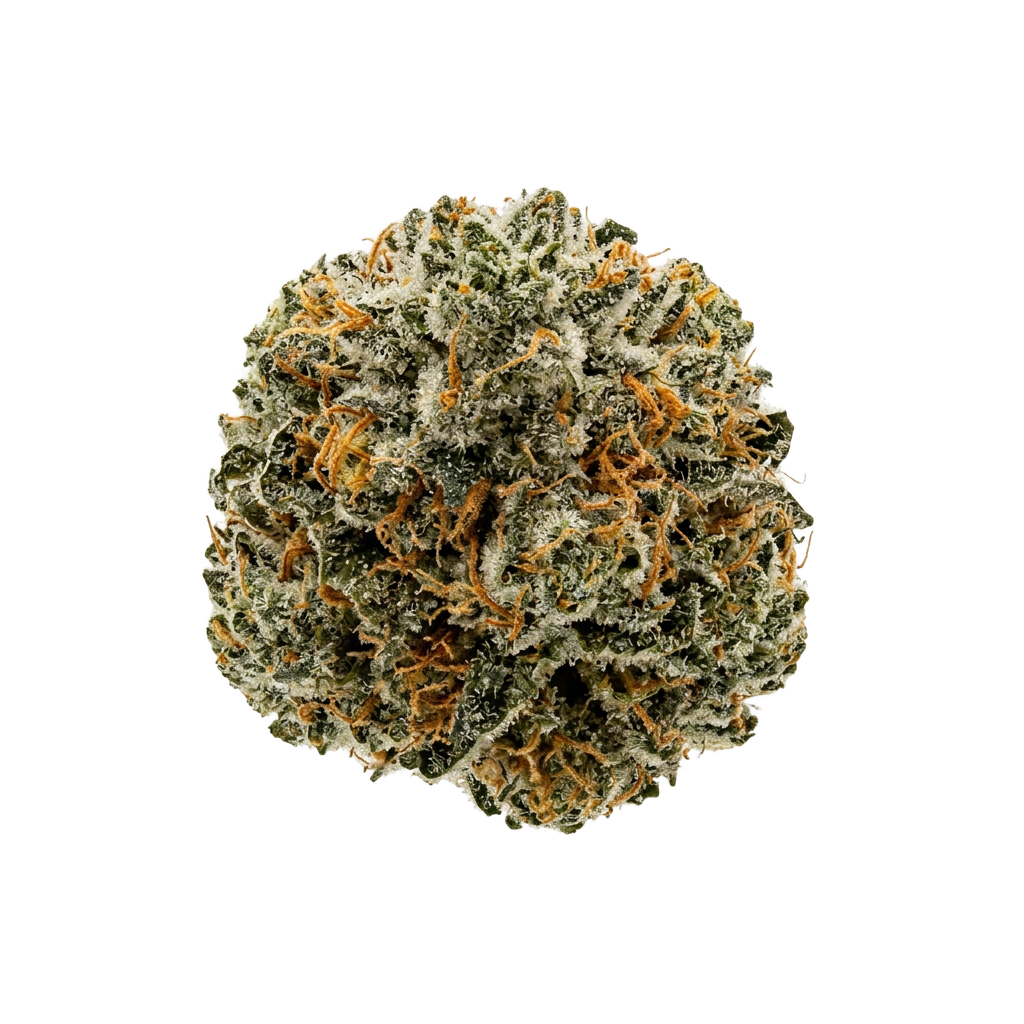 Gas Static &mdash; Exotics