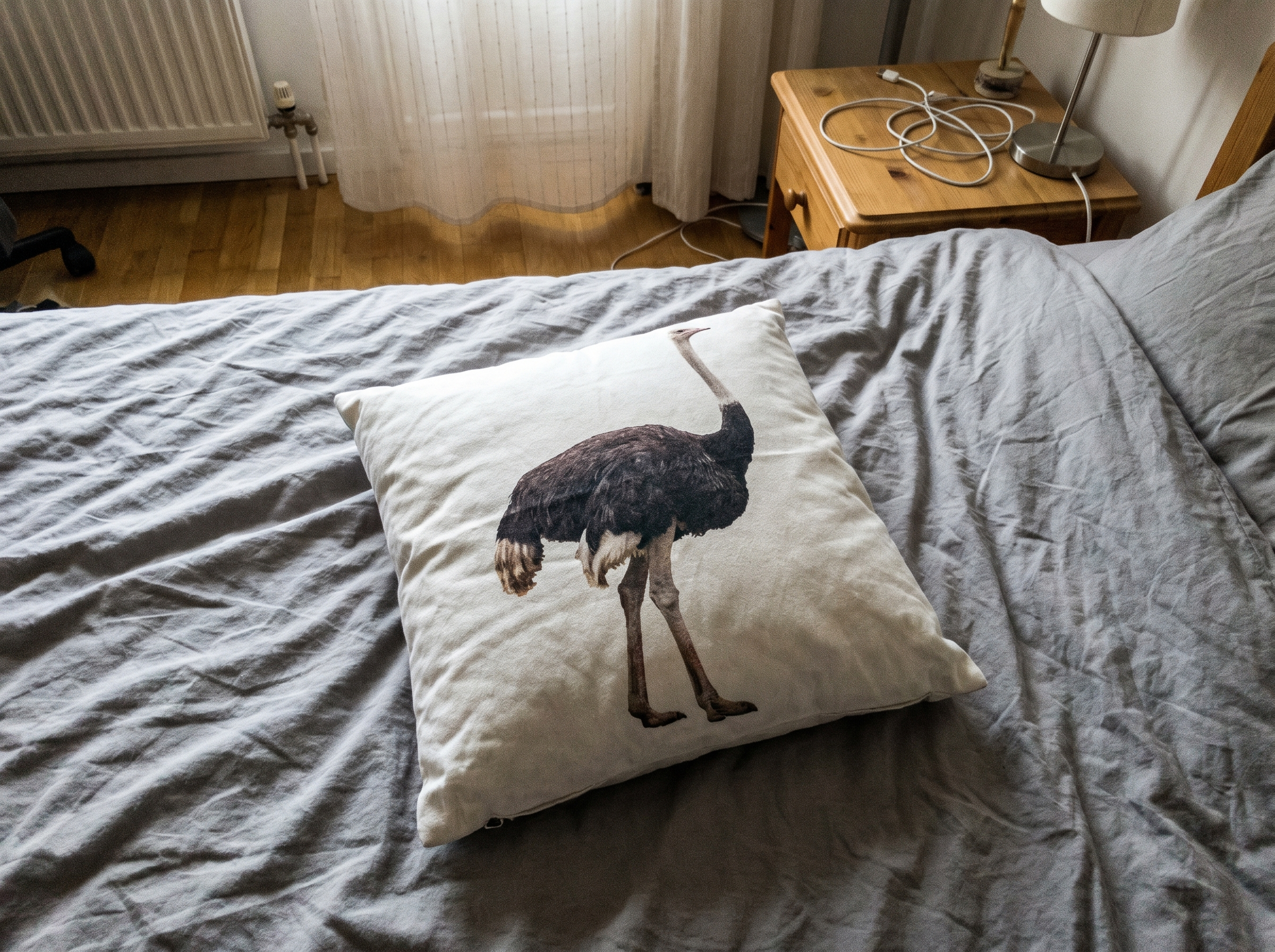 Het Struisvogel Hoofdkussen: Een Onderzoek naar Slapen onder Toezicht van een Loopvogel
