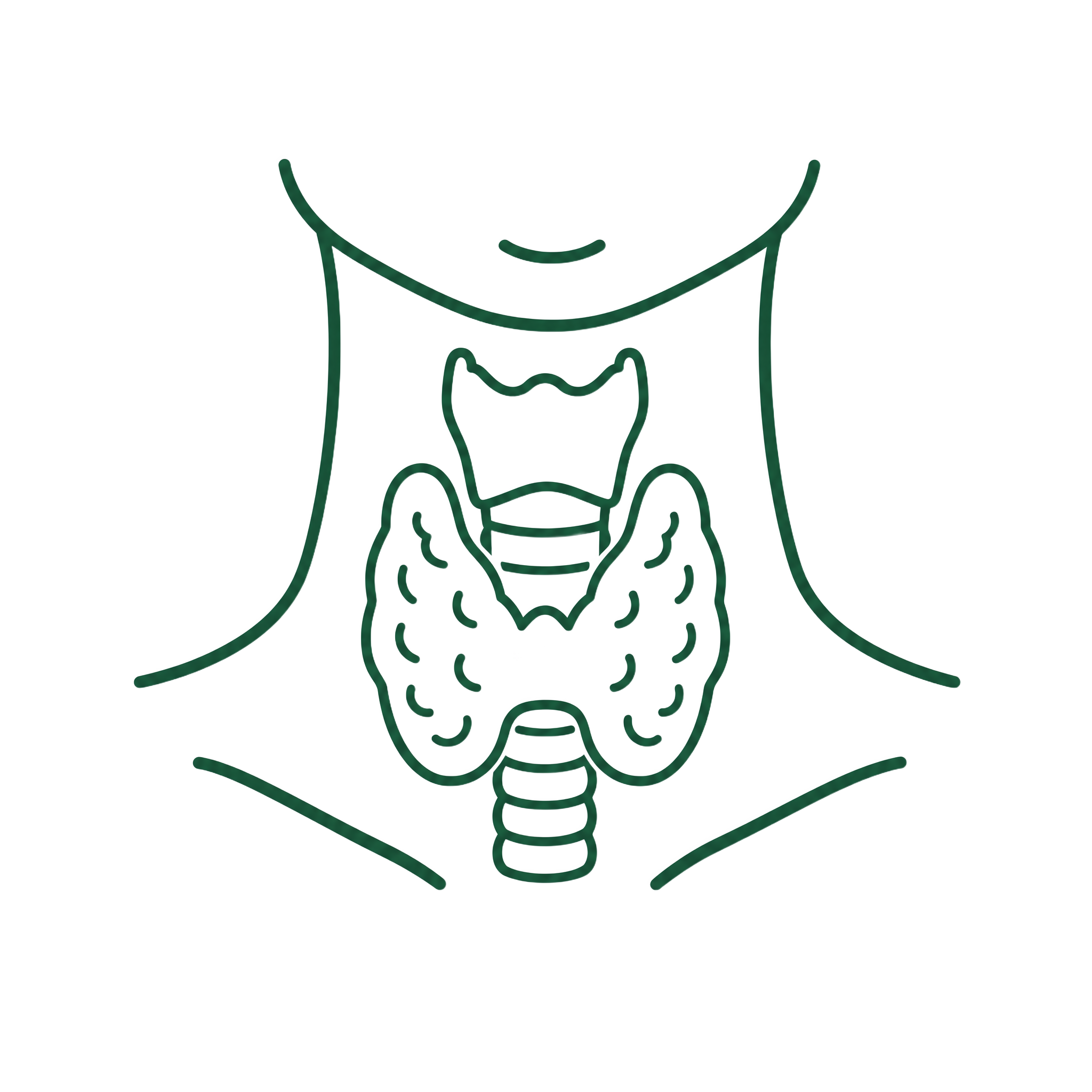 Fonction thyroïdienne