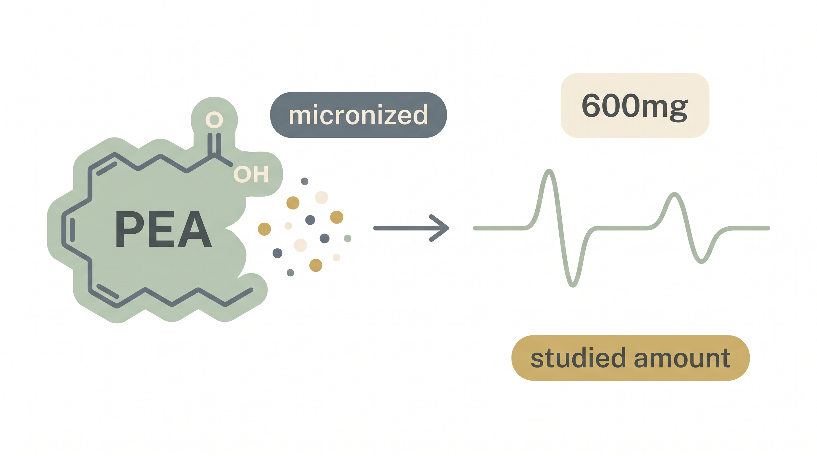 Simple diagram showing micronized PEA, 600mg, and a calmer nerve signal