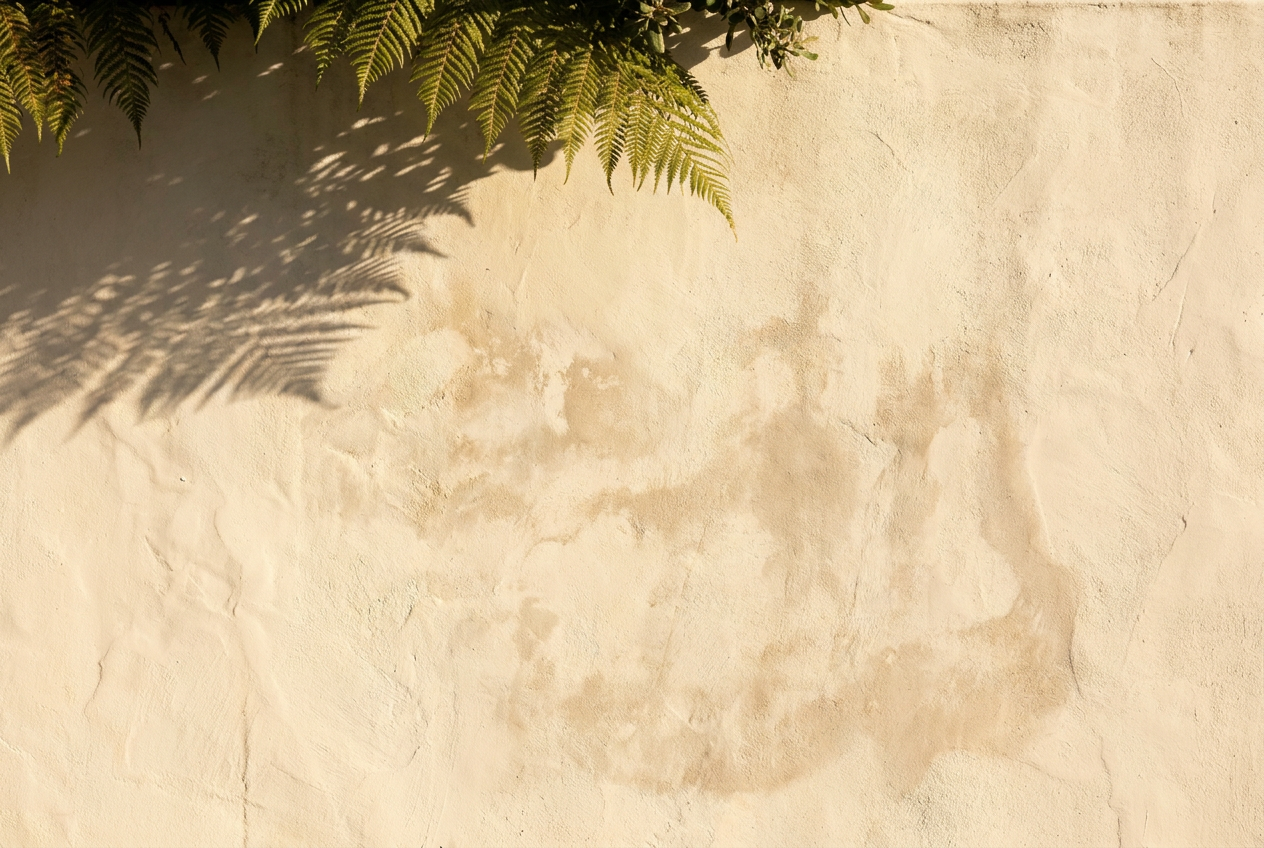 Lime washed exterior plaster wall weathering in Auckland's coastal light