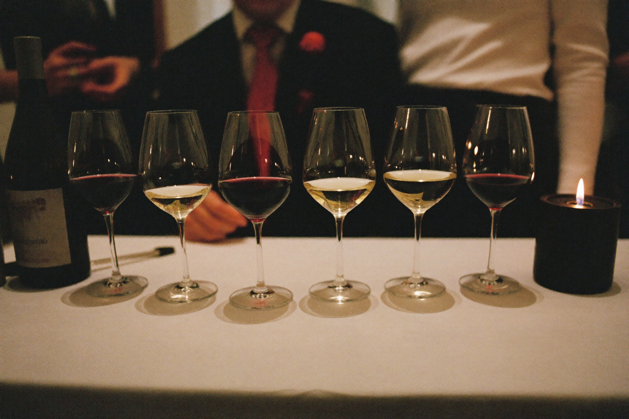 Guided wine tasting with professionals