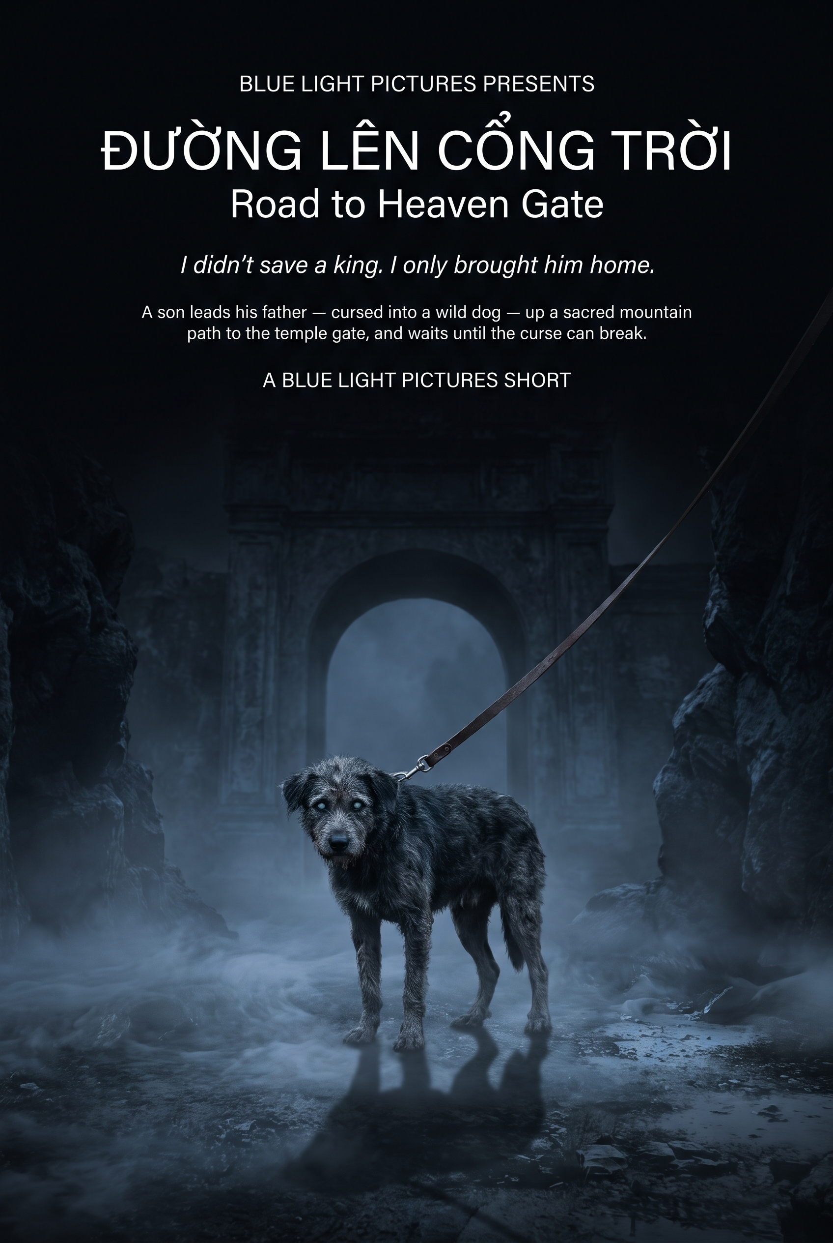 Đường Lên Cổng Trời concept poster