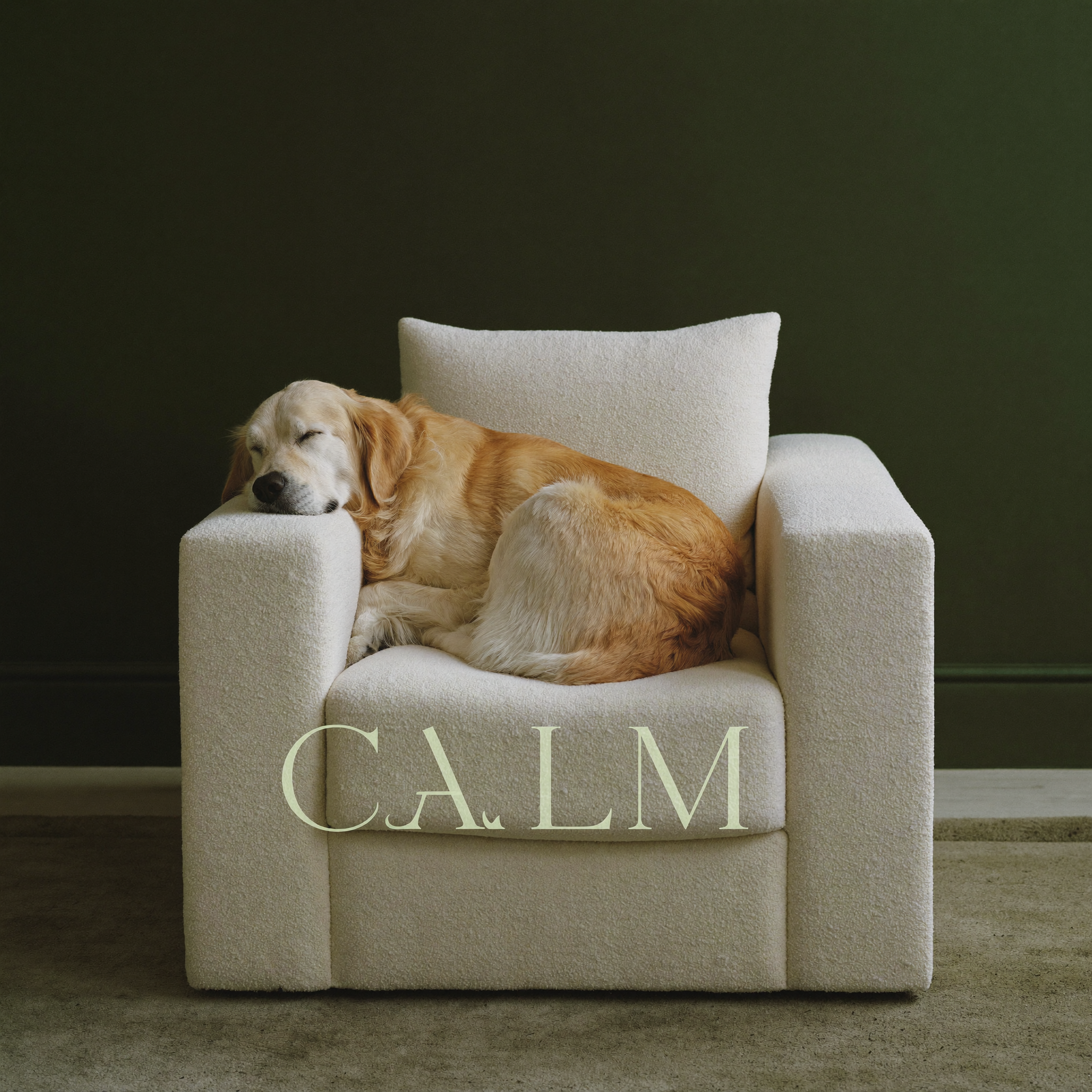 Applied animal behavior