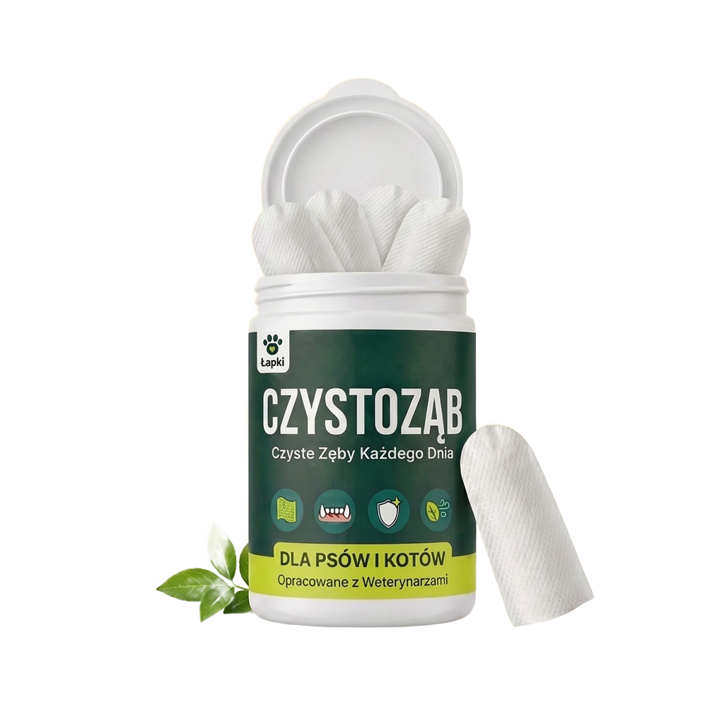 Czystoząb