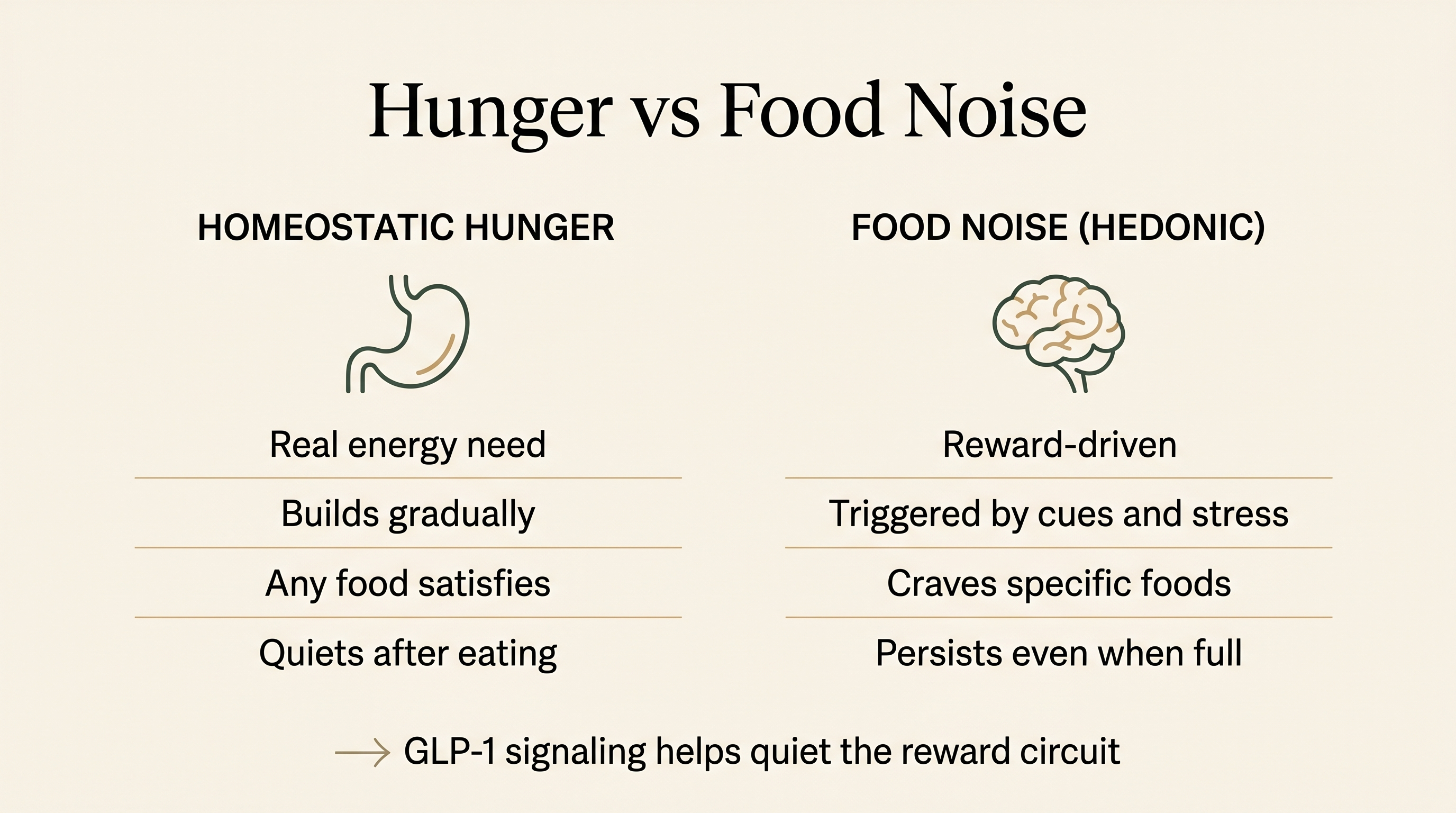 Diagram comparing homeostatic hunger and hedonic food noise, with GLP-1 signaling shown quieting the reward circuit.