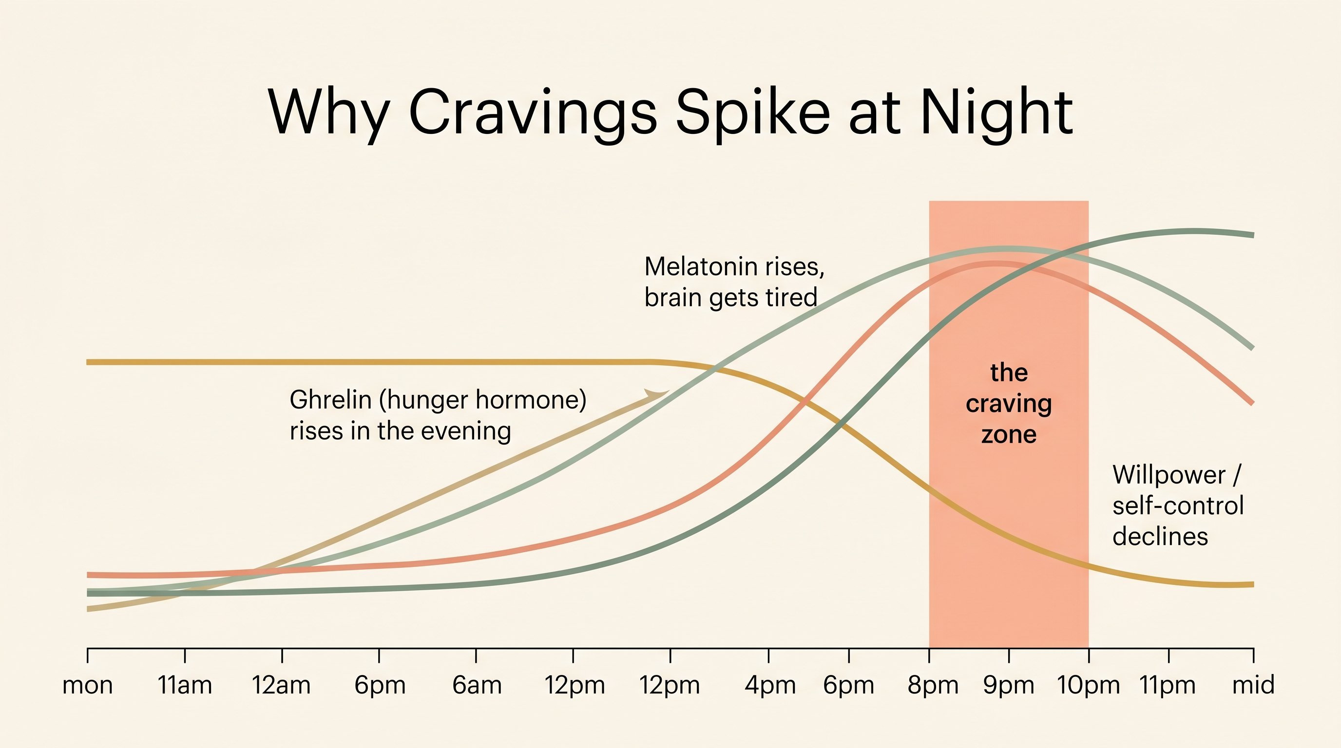 Diagram showing ghrelin and melatonin rising while willpower falls in the 8pm to 11pm craving zone