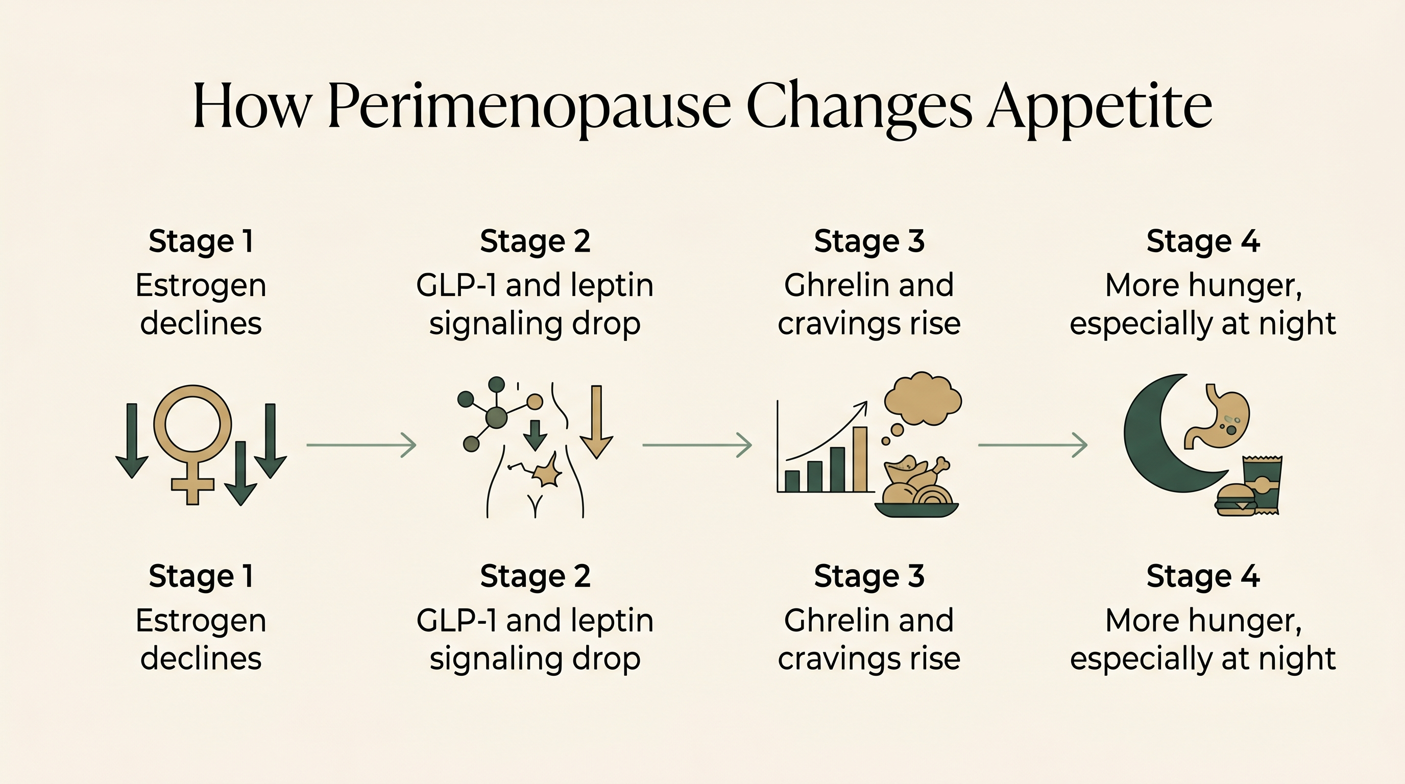 Diagram showing how falling estrogen lowers GLP-1 and leptin, raises ghrelin and cravings, and increases nighttime hunger in perimenopause