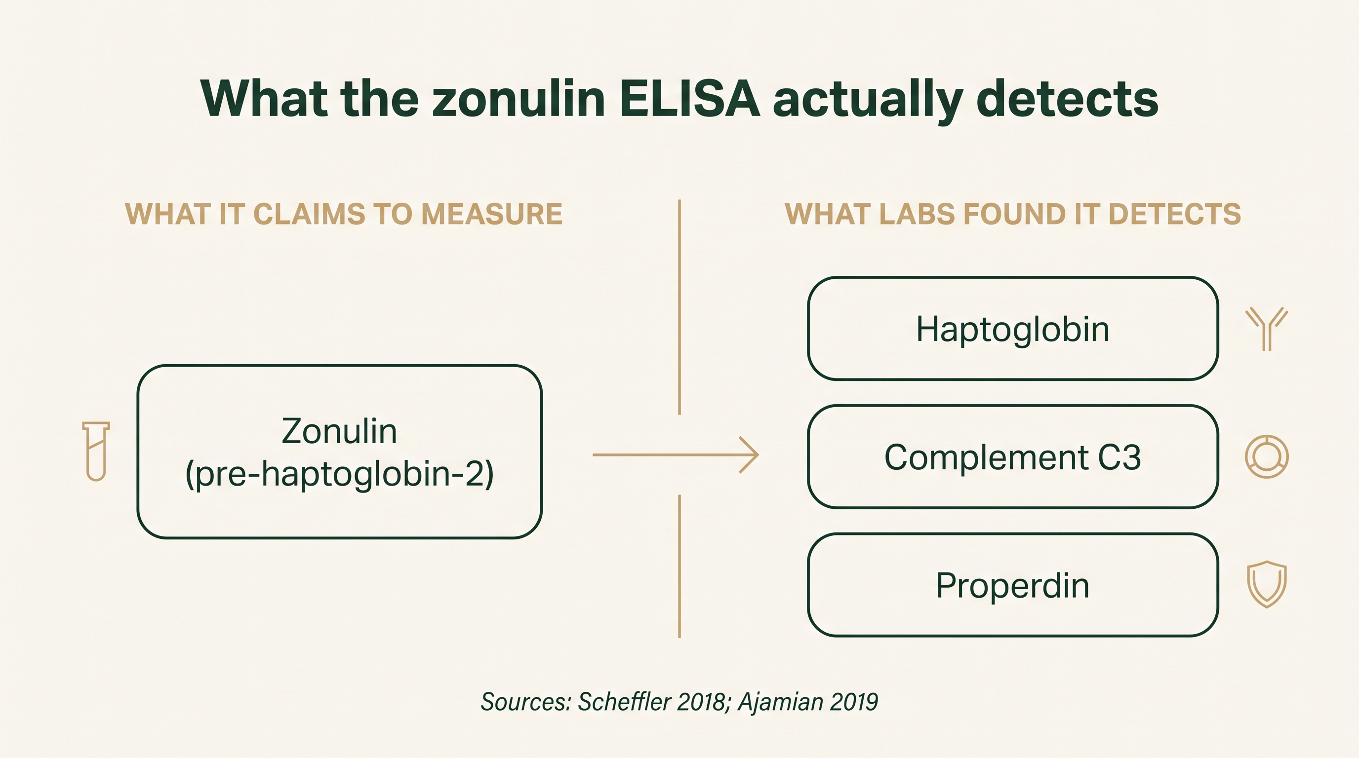 Diagram comparing what the zonulin ELISA claims to measure versus the proteins independent labs found it detects