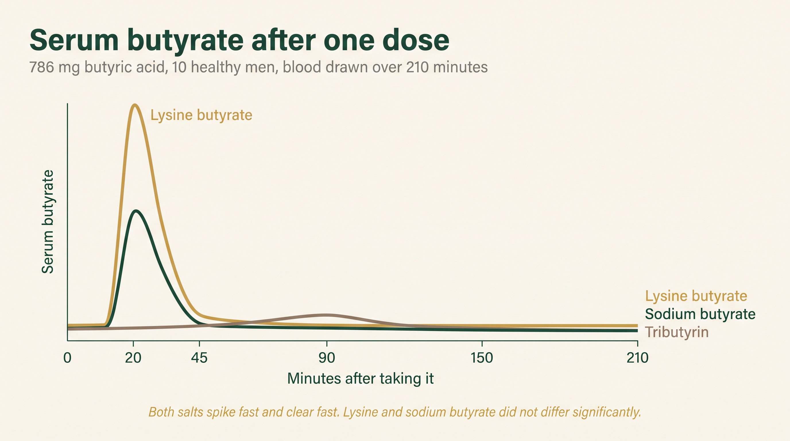 Line chart of serum butyrate over 210 minutes showing lysine butyrate and sodium butyrate spiking sharply at 20 minutes and clearing by 45 minutes, while tributyrin stays flat throughout