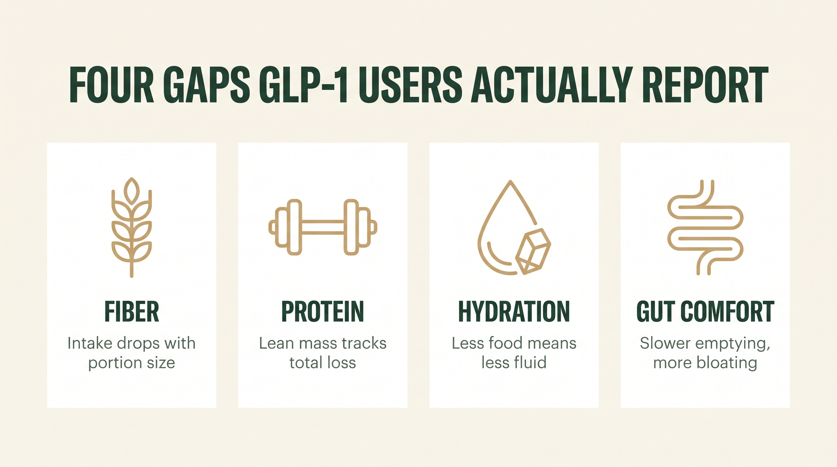 Diagram showing the four nutritional gaps GLP-1 users report: fiber, protein, hydration, and gut comfort