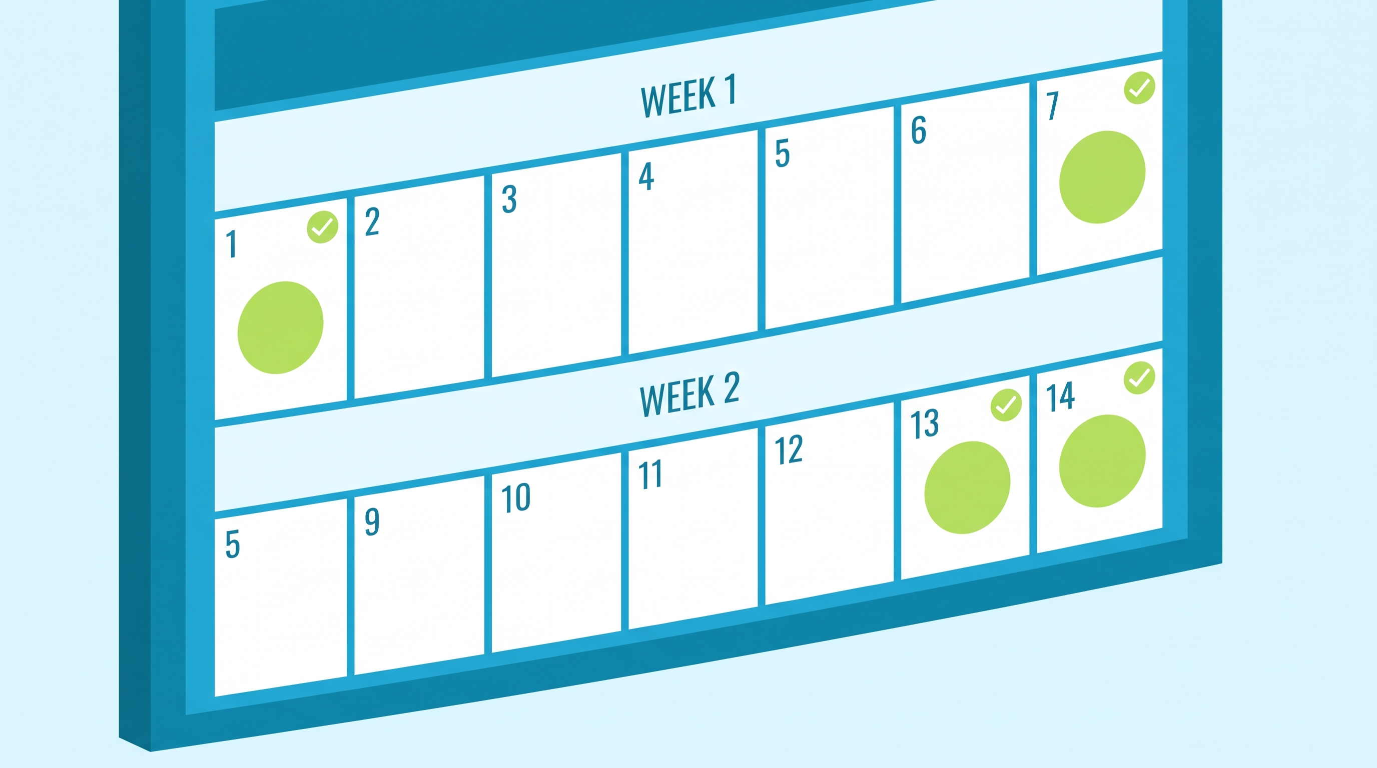 Two-week preparation calendar with key milestone days marked