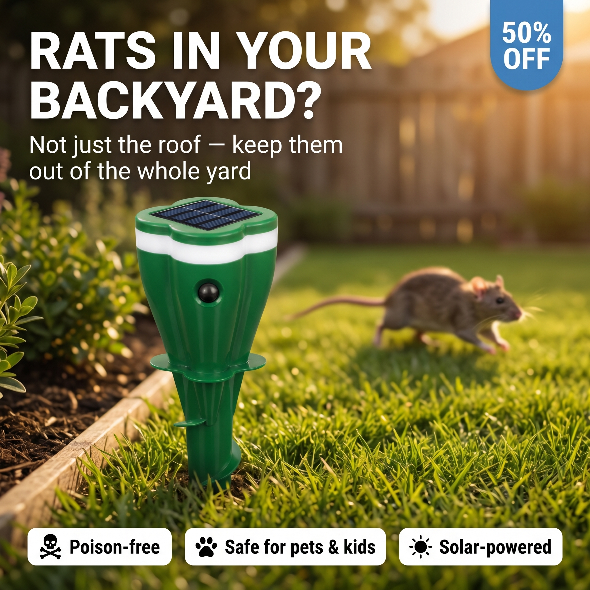 Rats in your backyard — keep them out of the whole yard