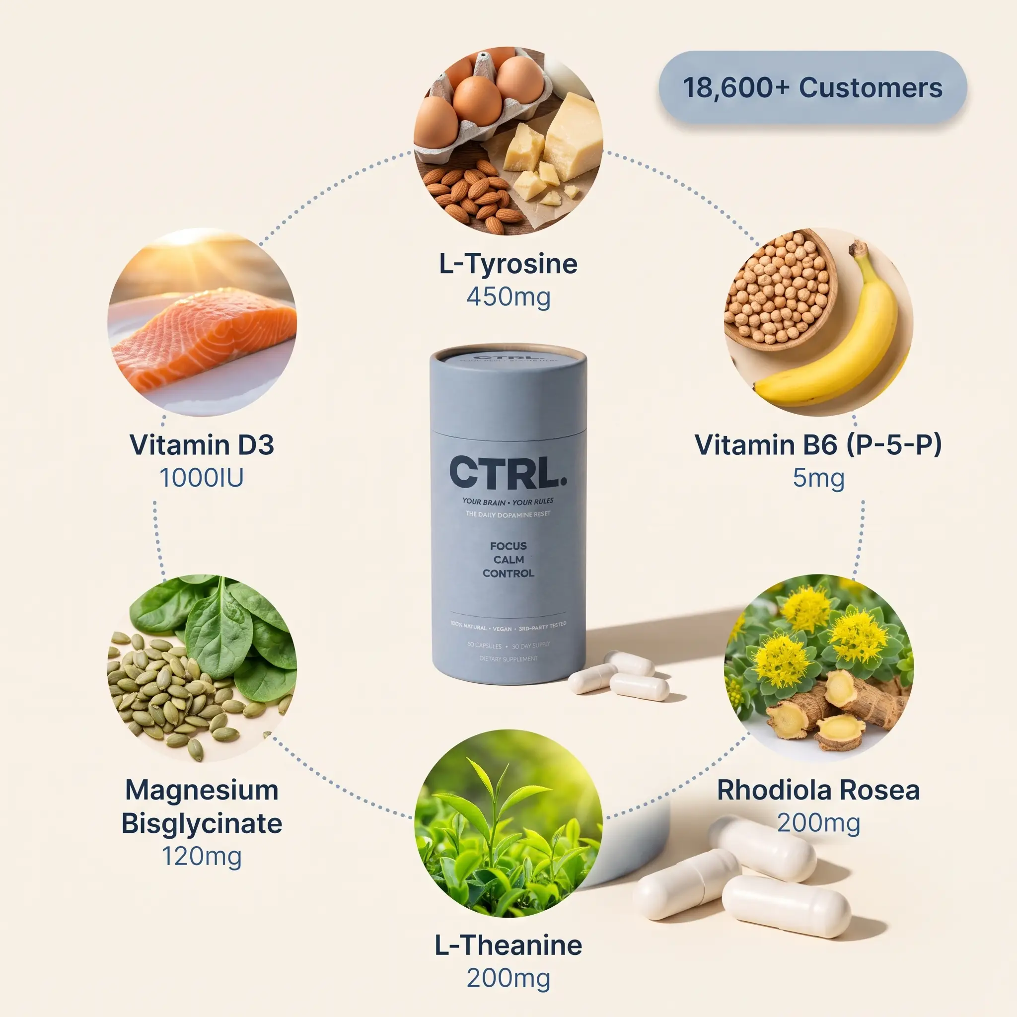 The six ingredients in CTRL