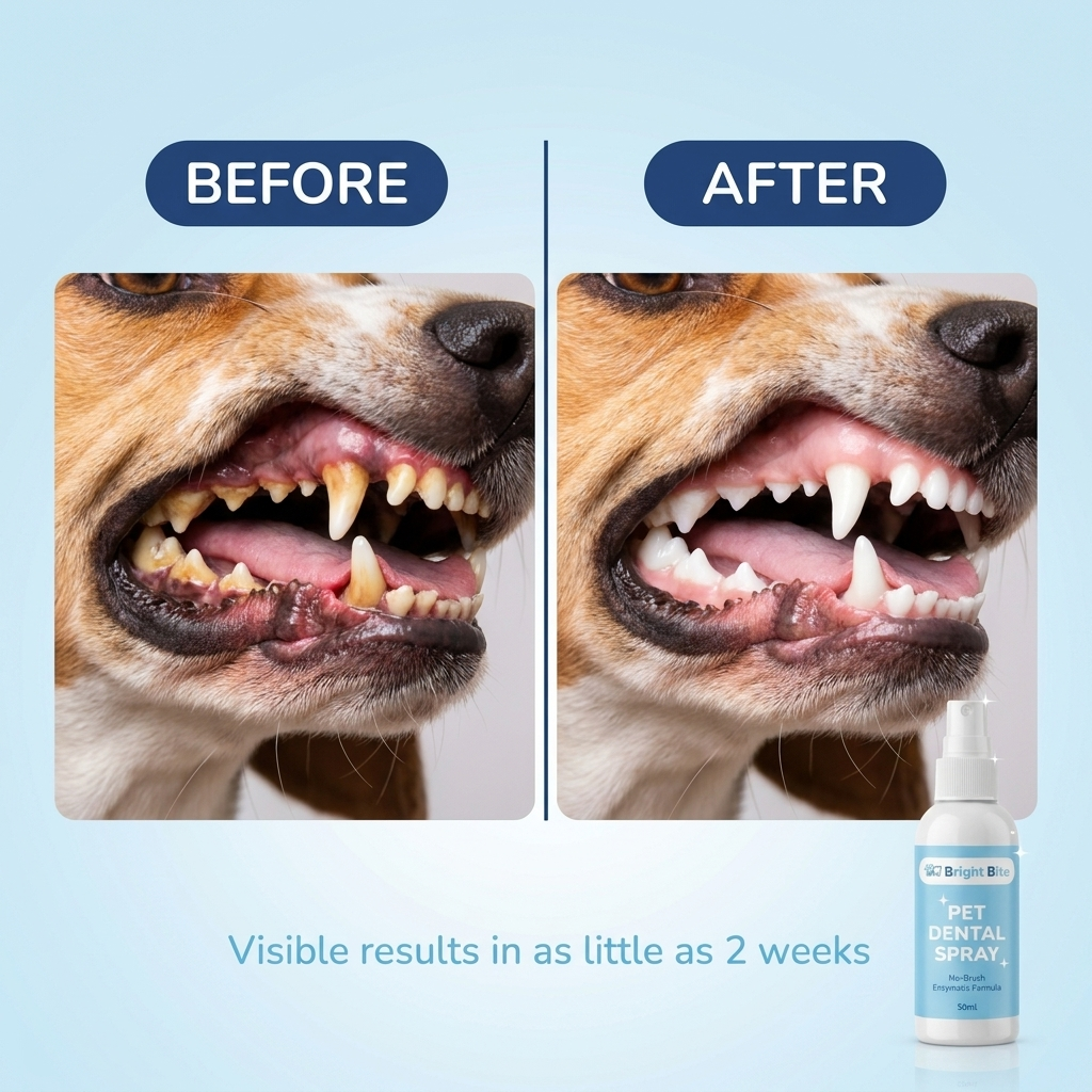 Before and after Bright Bite results