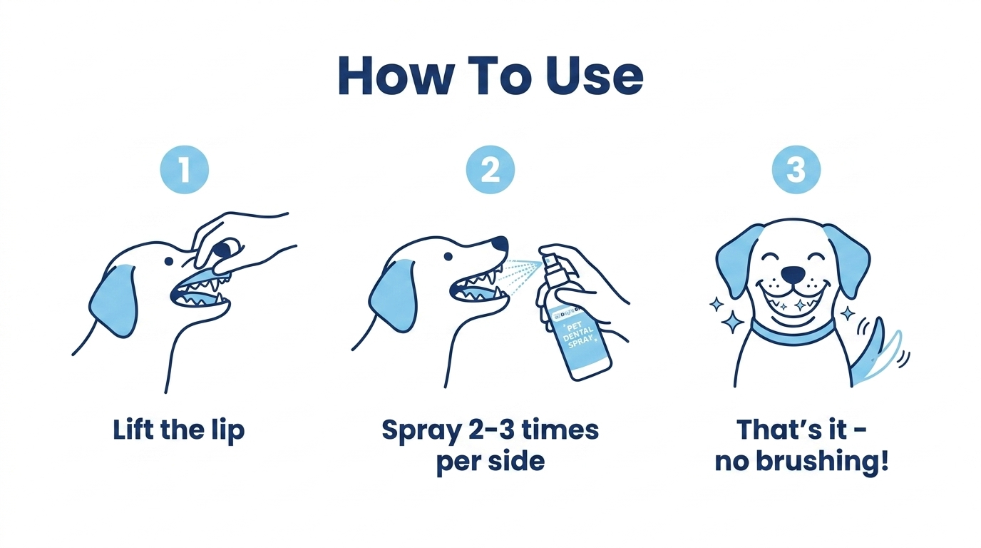 How to use Bright Bite