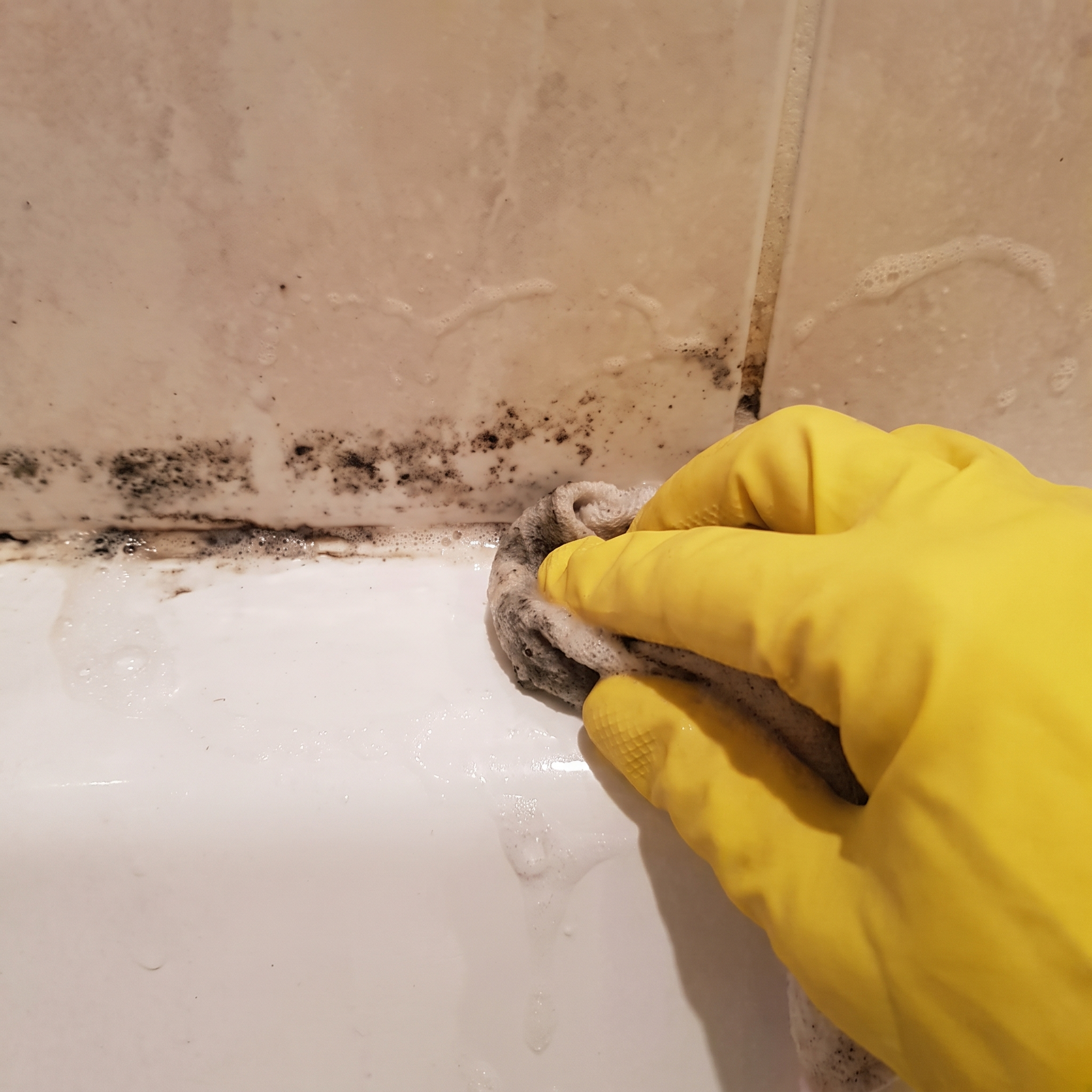 Mano frotando con lejía una junta negra de moho del baño