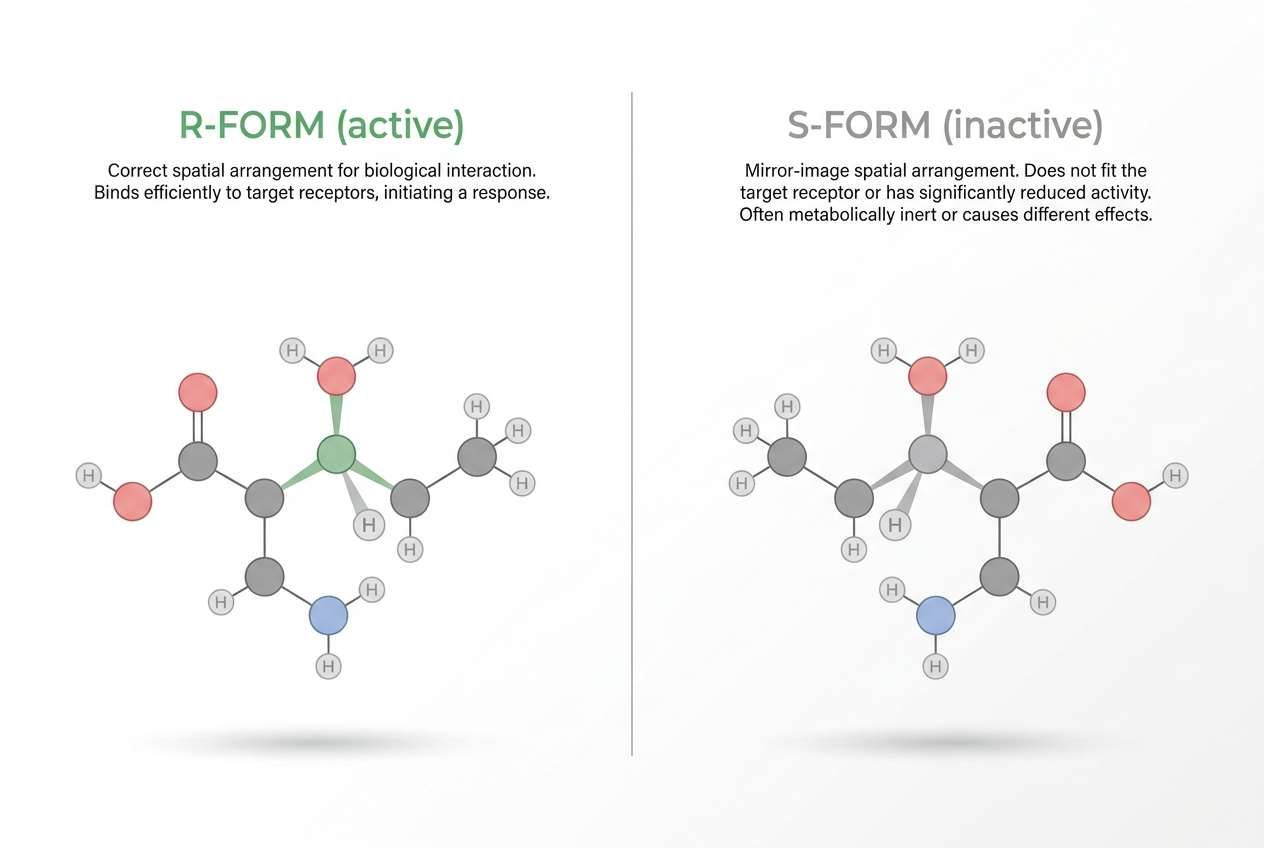 R-form (active) vs S-form (inactive) molecule comparison