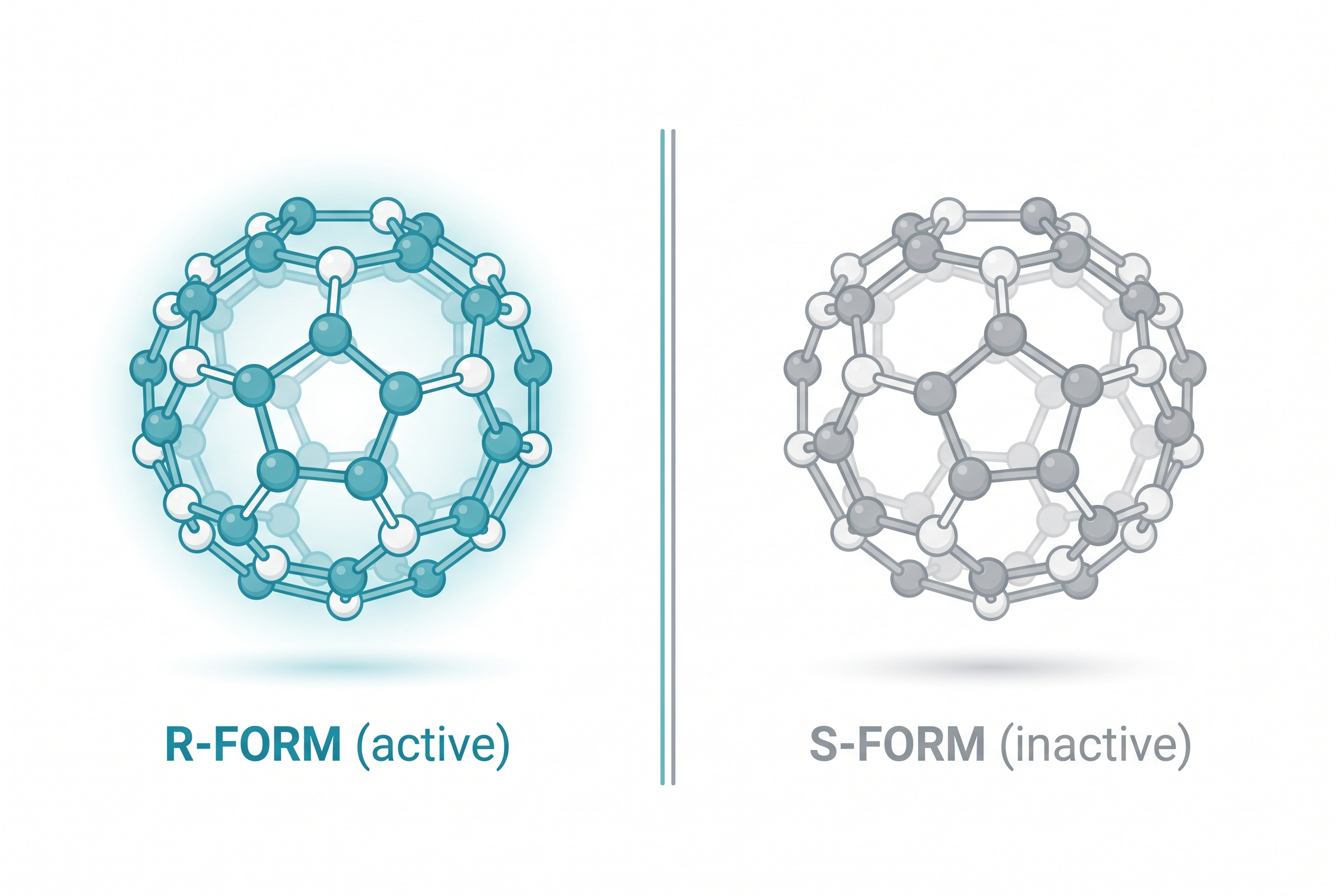 R-form (active) vs S-form (inactive) molecule comparison