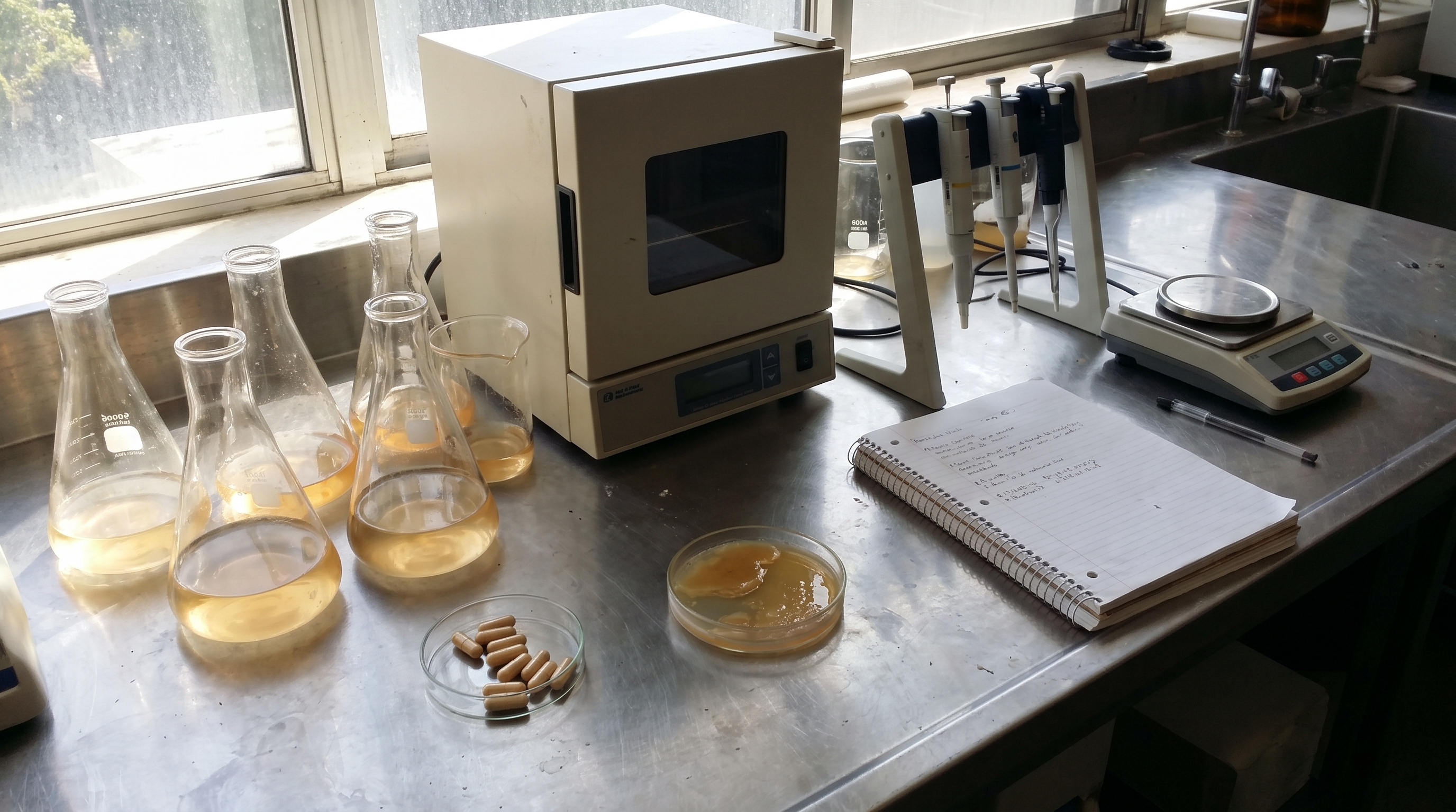 Fermentation lab bench with flasks, a notebook and capsules