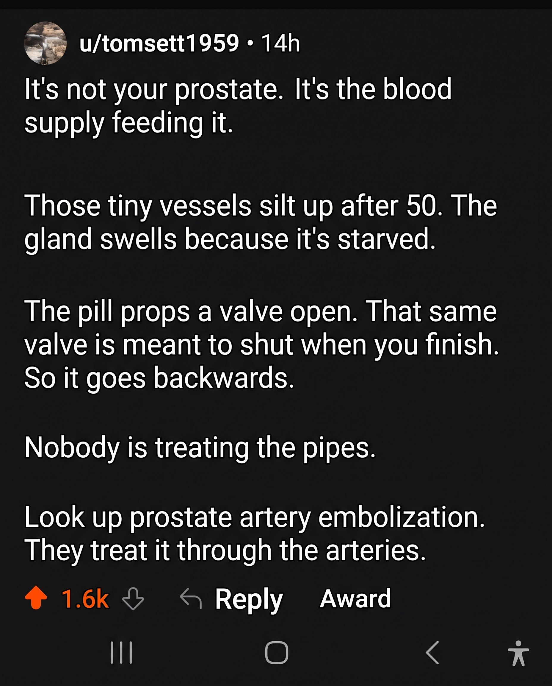 Reddit comment: it's not your prostate, it's the blood supply feeding it