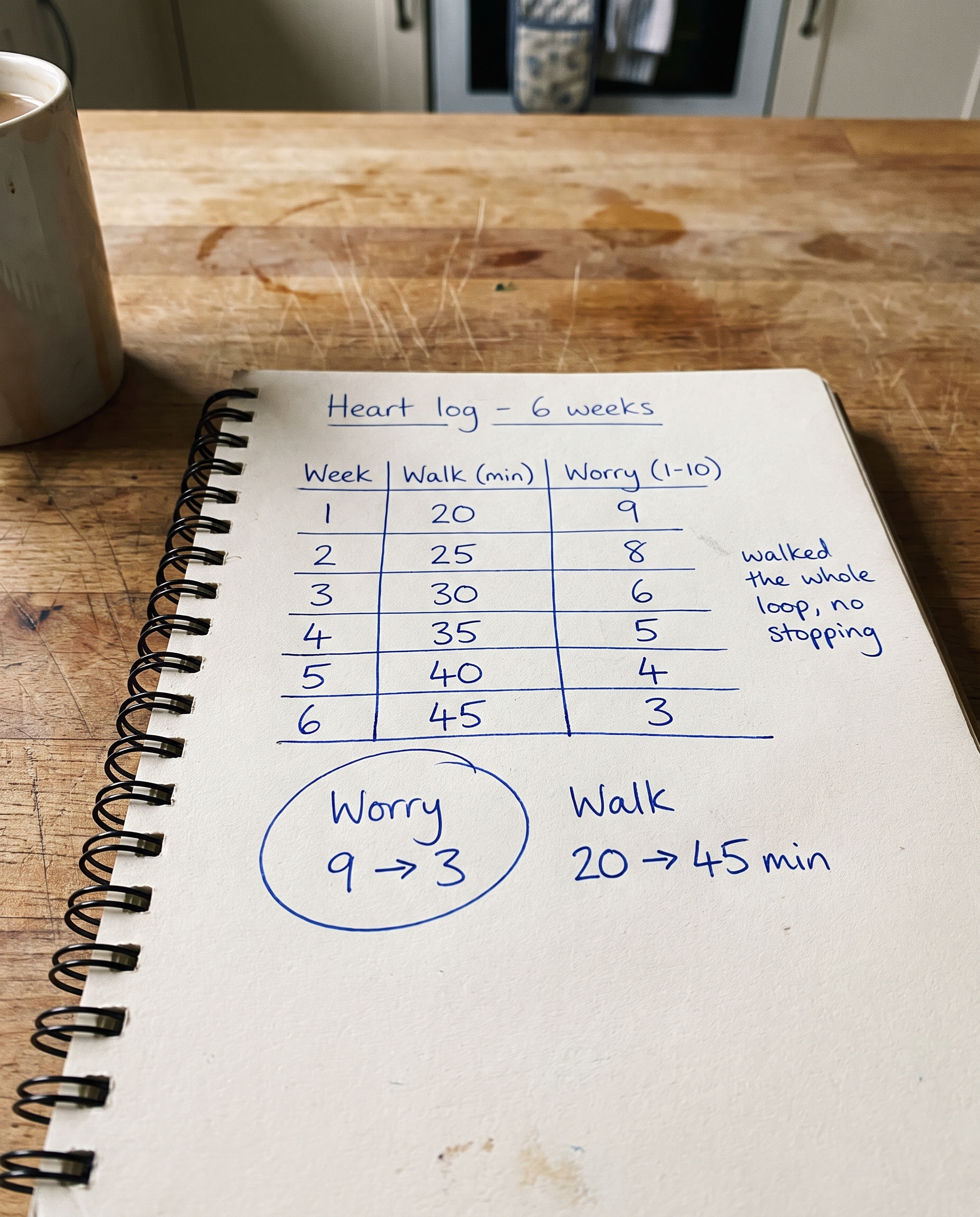 Handwritten heart log — worry dropping from 9 to 3 and walks from 20 to 45 minutes over six weeks