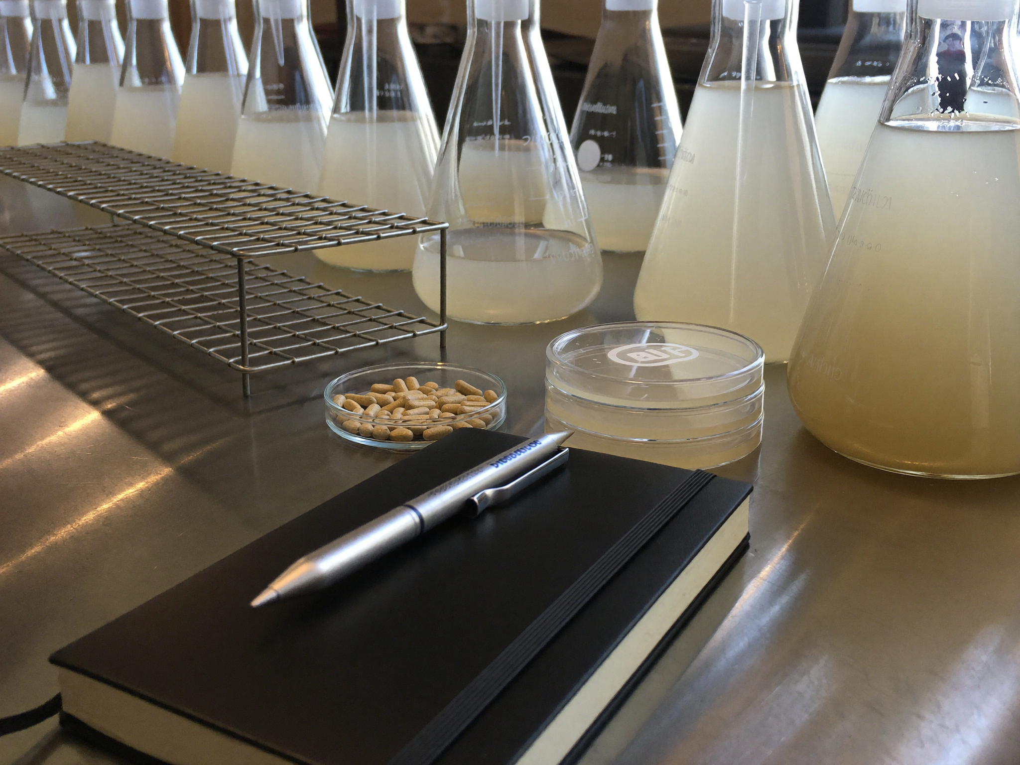 Fermentation lab bench with nattokinase notes and capsules