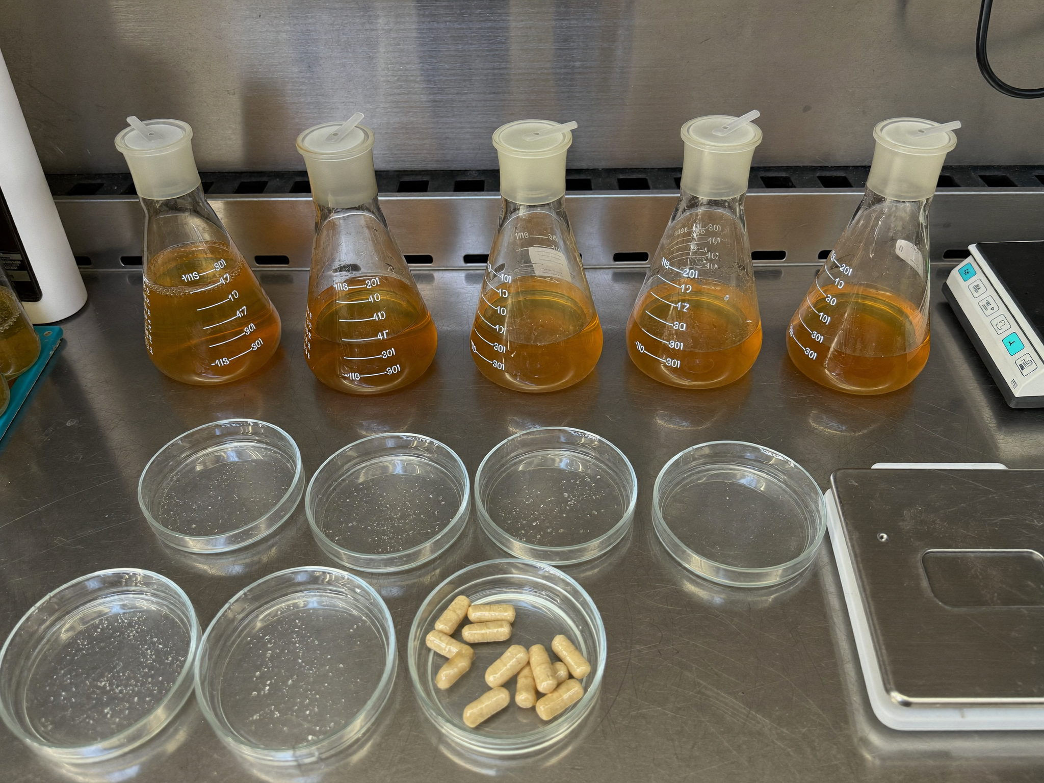Fermentation lab bench with flasks and capsules
