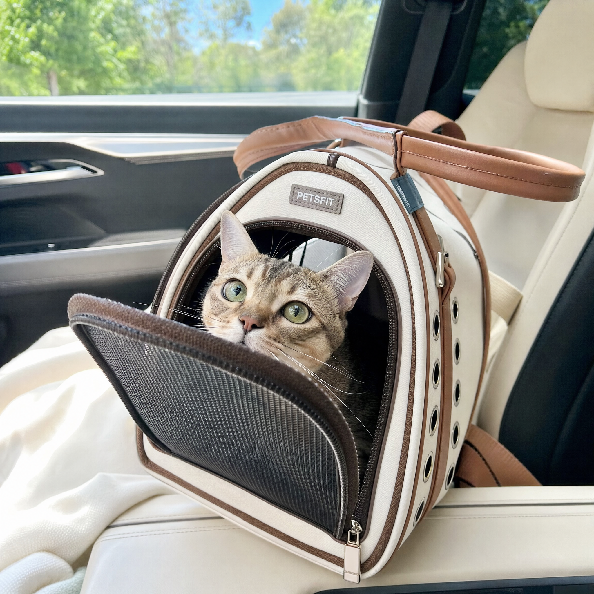 Customer cat photo