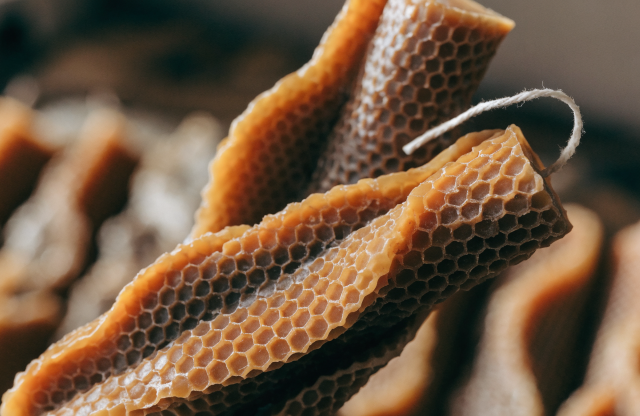 Close-up of hand-rolled beeswax candles with honeycomb texture