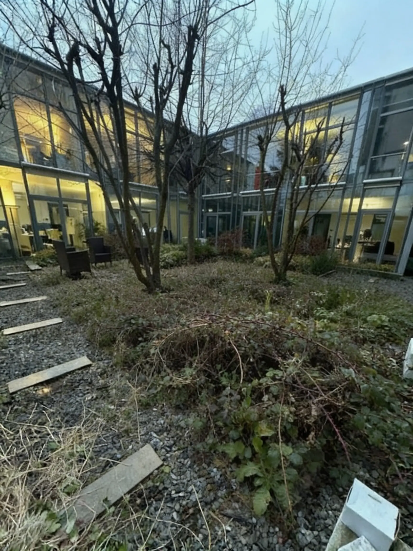 Vorher: Verwilderter Terrassenbereich Hamburg