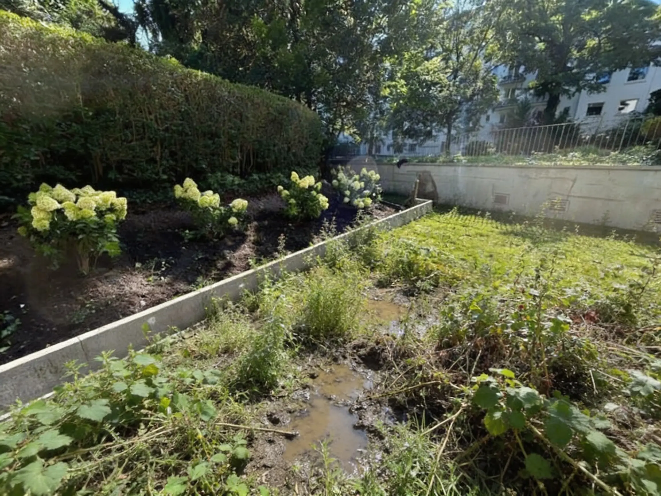 Vorher: Vernachlässigter Garten Hamburg