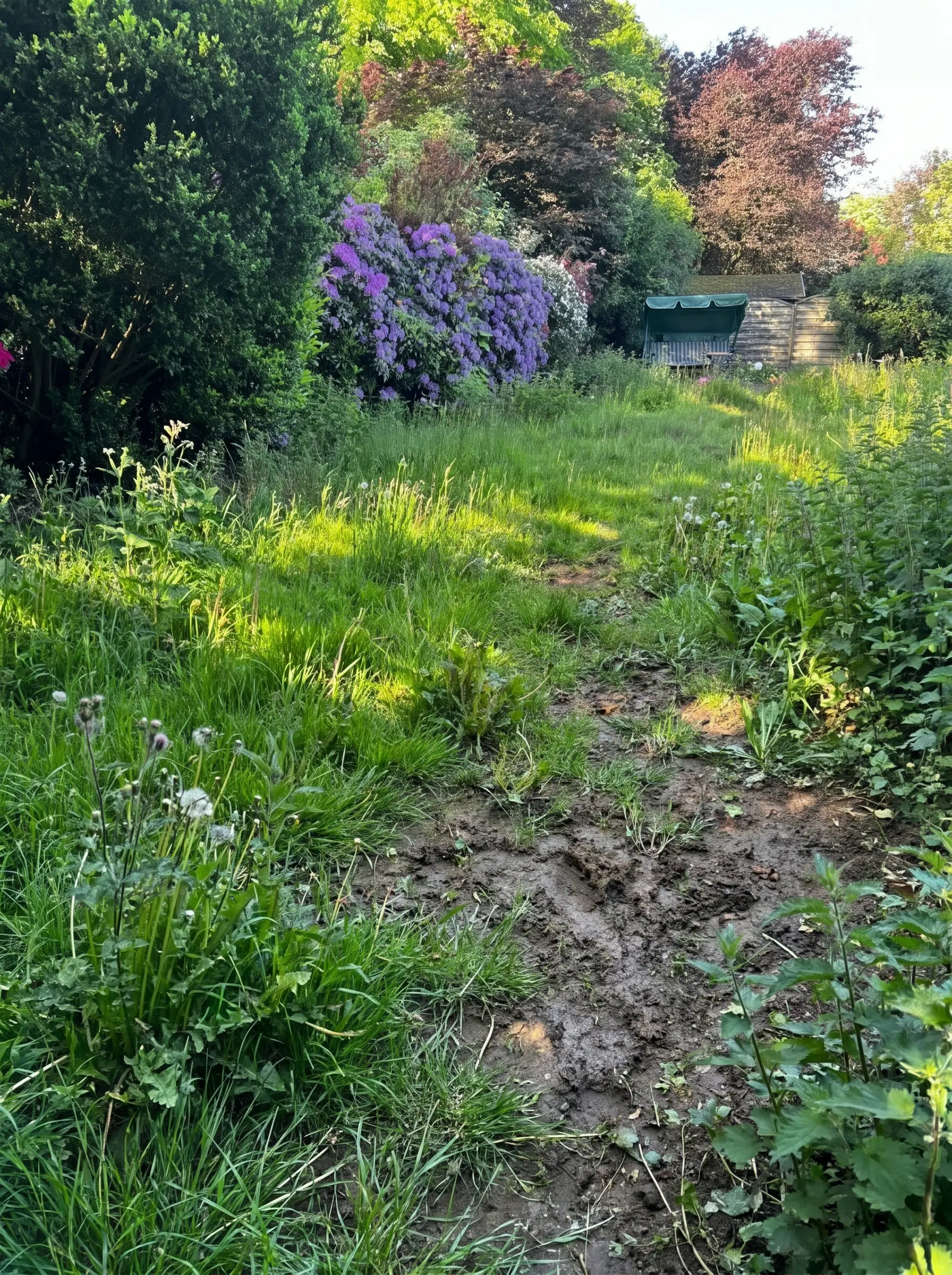 Vorher: Ungepflegter Garten Hamburg