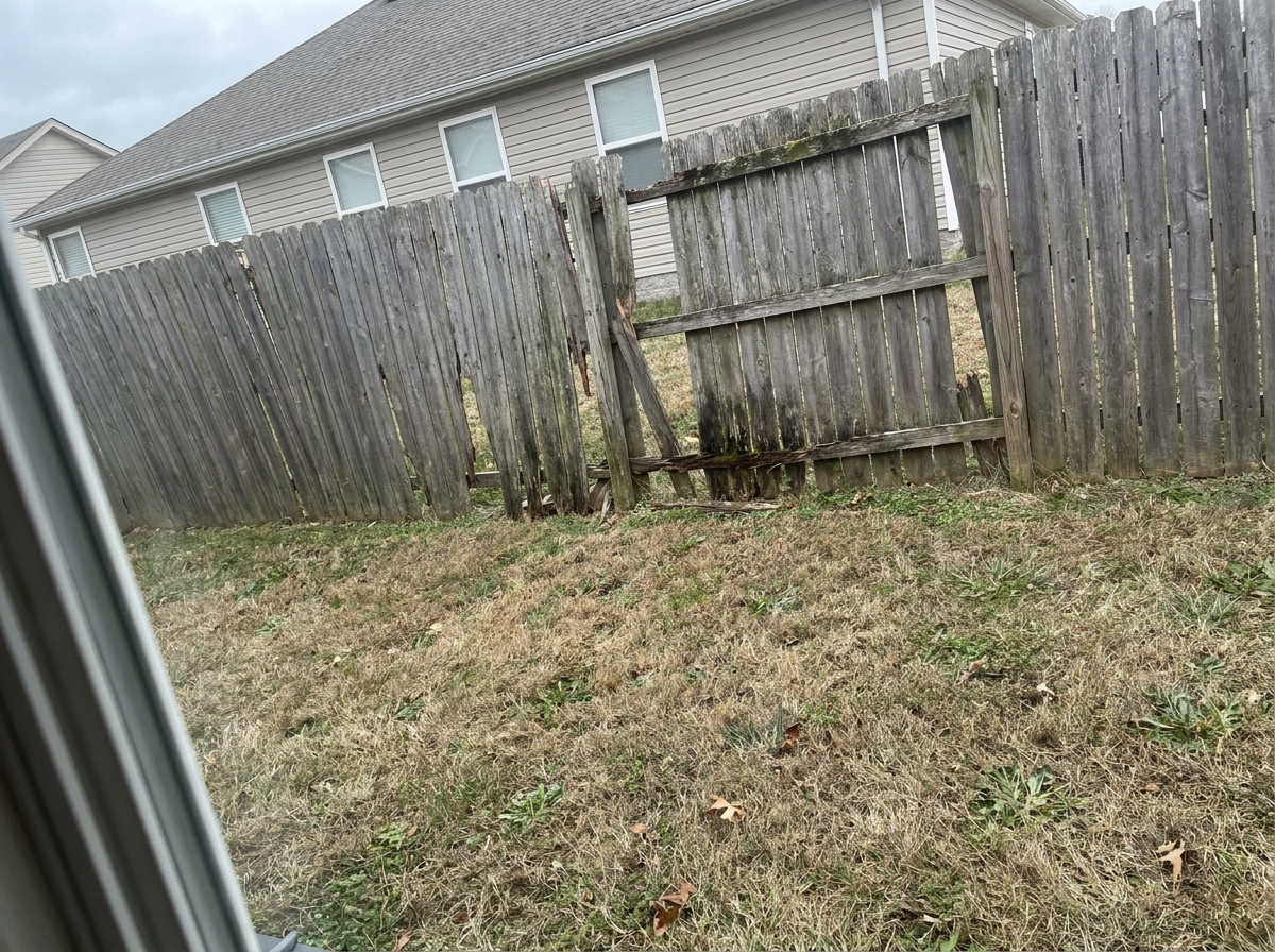 Old gray wood fence leaning and rotting in a backyard