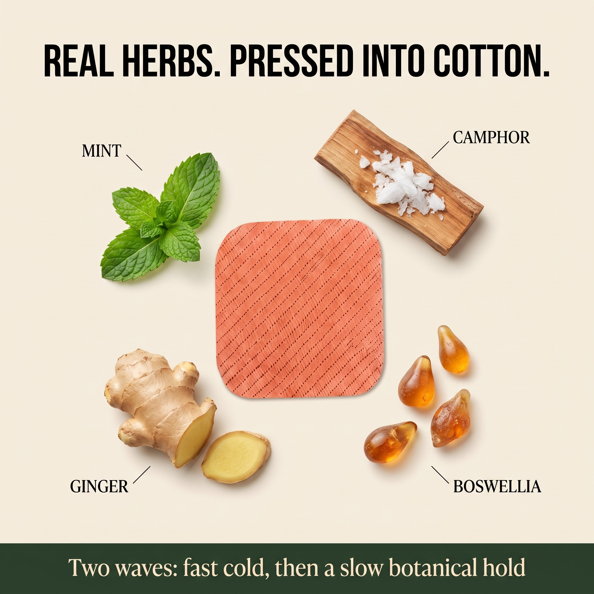 Real herbs pressed into cotton — camphor, mint, ginger, boswellia