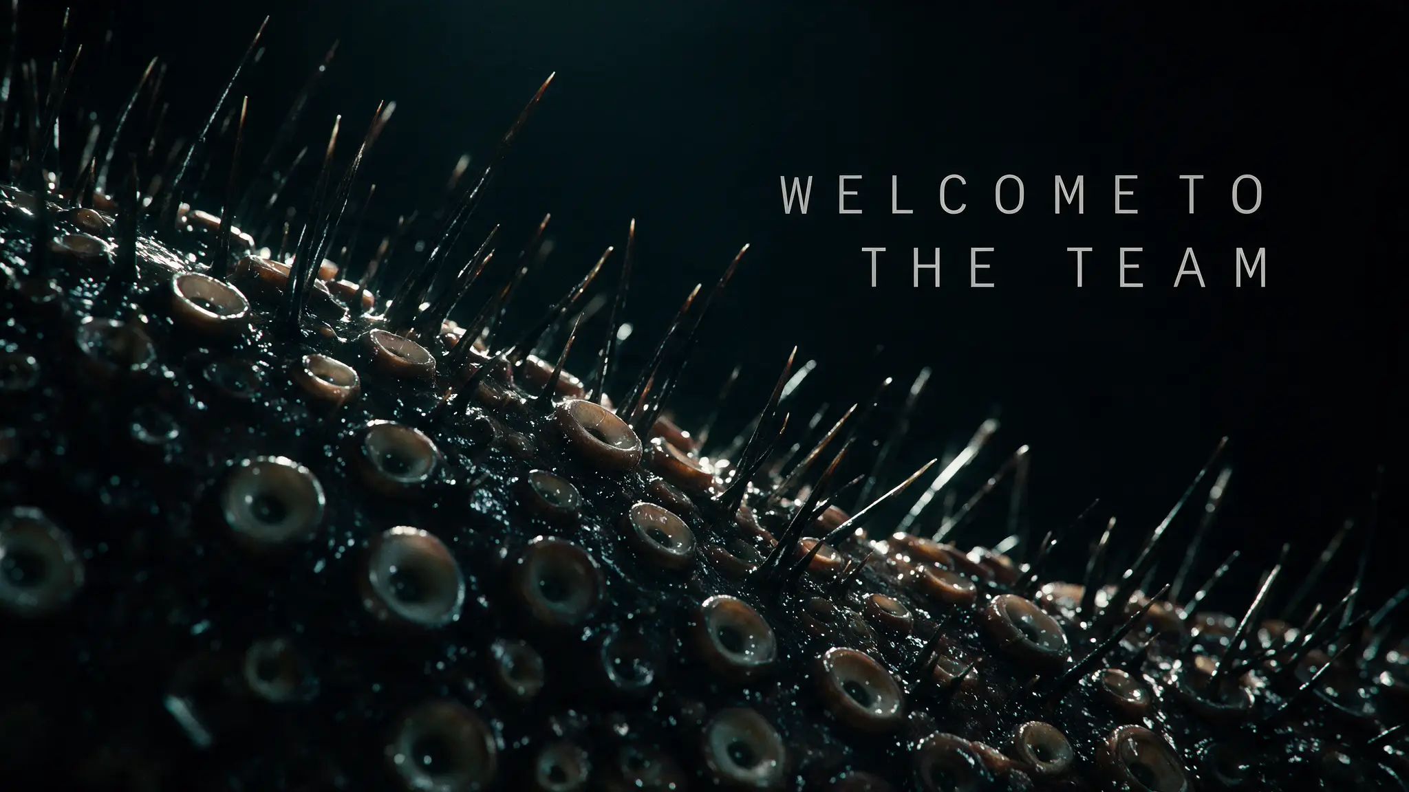 Welcome to the Team