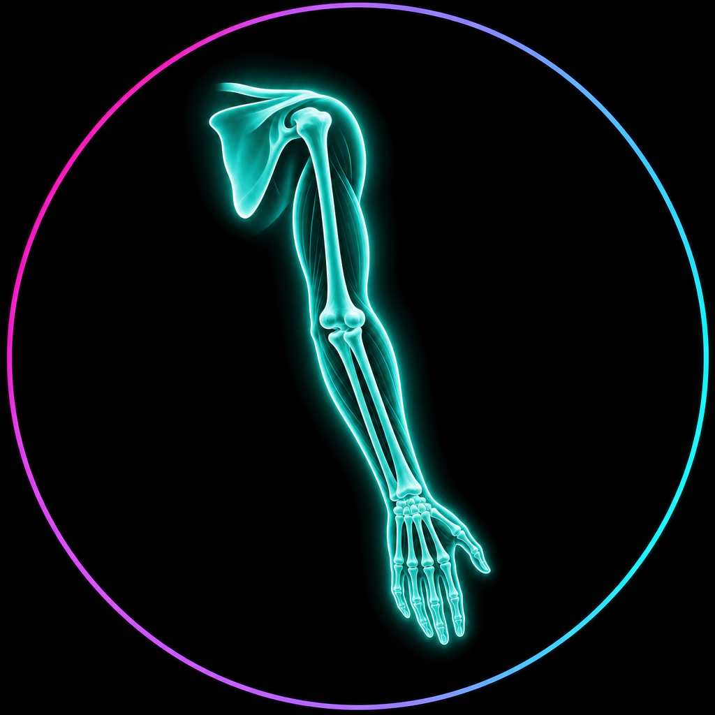 upper limb icon