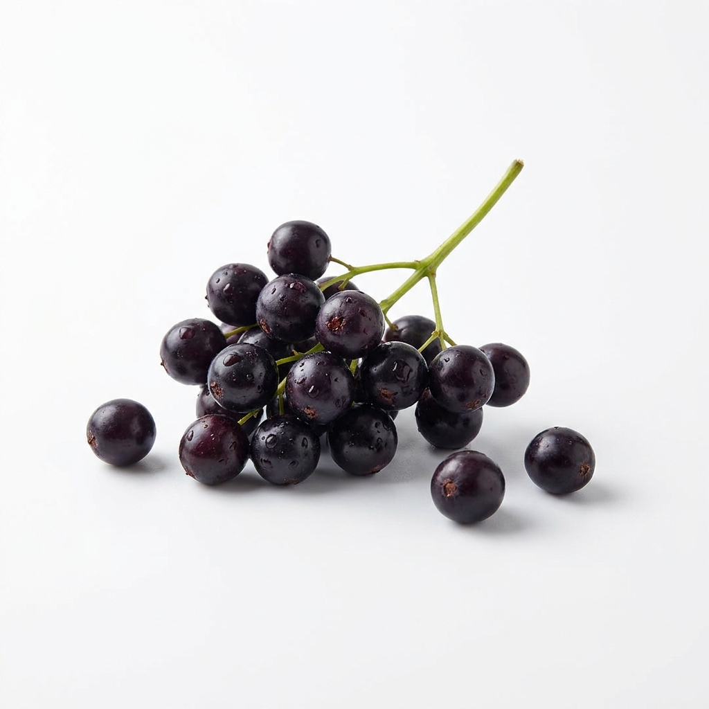 Cluster of fresh elderberries